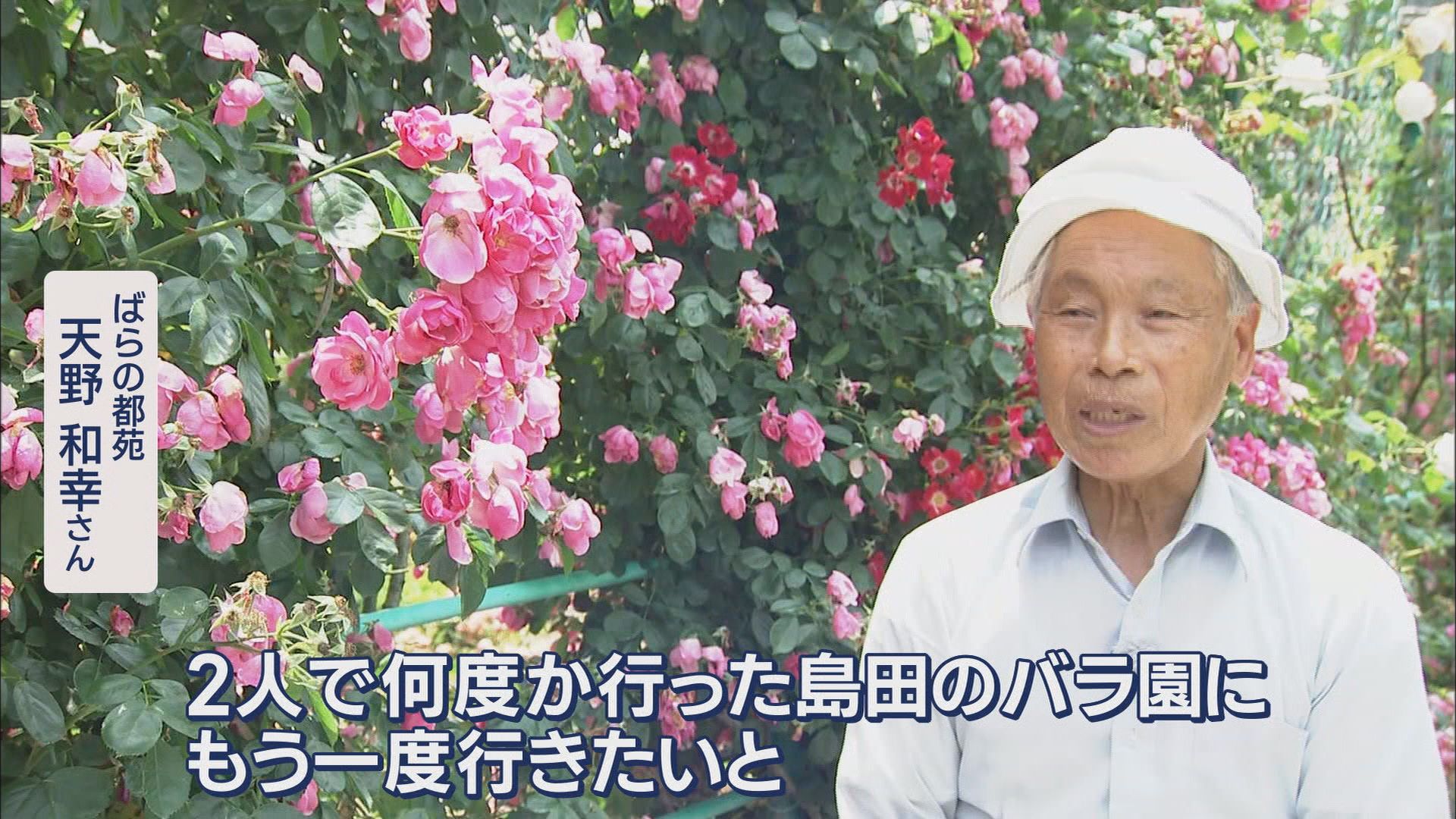 1400株のバラに込めた妻への思い…84歳が管理する無料バラ園　去年の大きな被害を乗り越えて　浜松市