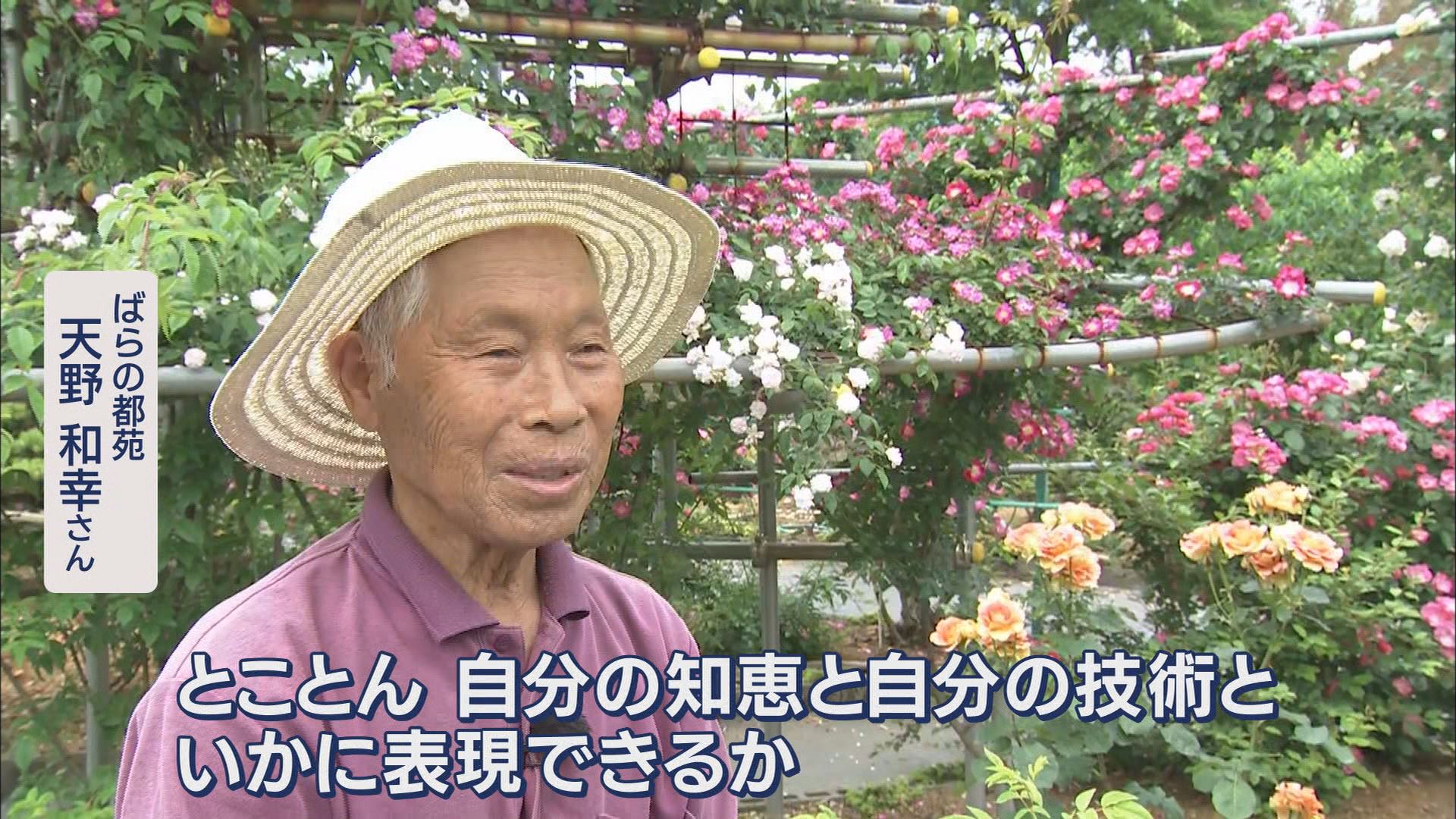 1400株のバラに込めた妻への思い…84歳が管理する無料バラ園　去年の大きな被害を乗り越えて　浜松市