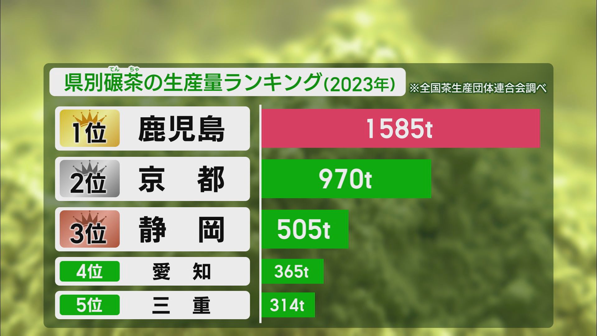 “トランプ関税”が追い風? 輸出が5年前の2倍に 生産が追い付かない…静岡産抹茶が苦戦するヒミツ