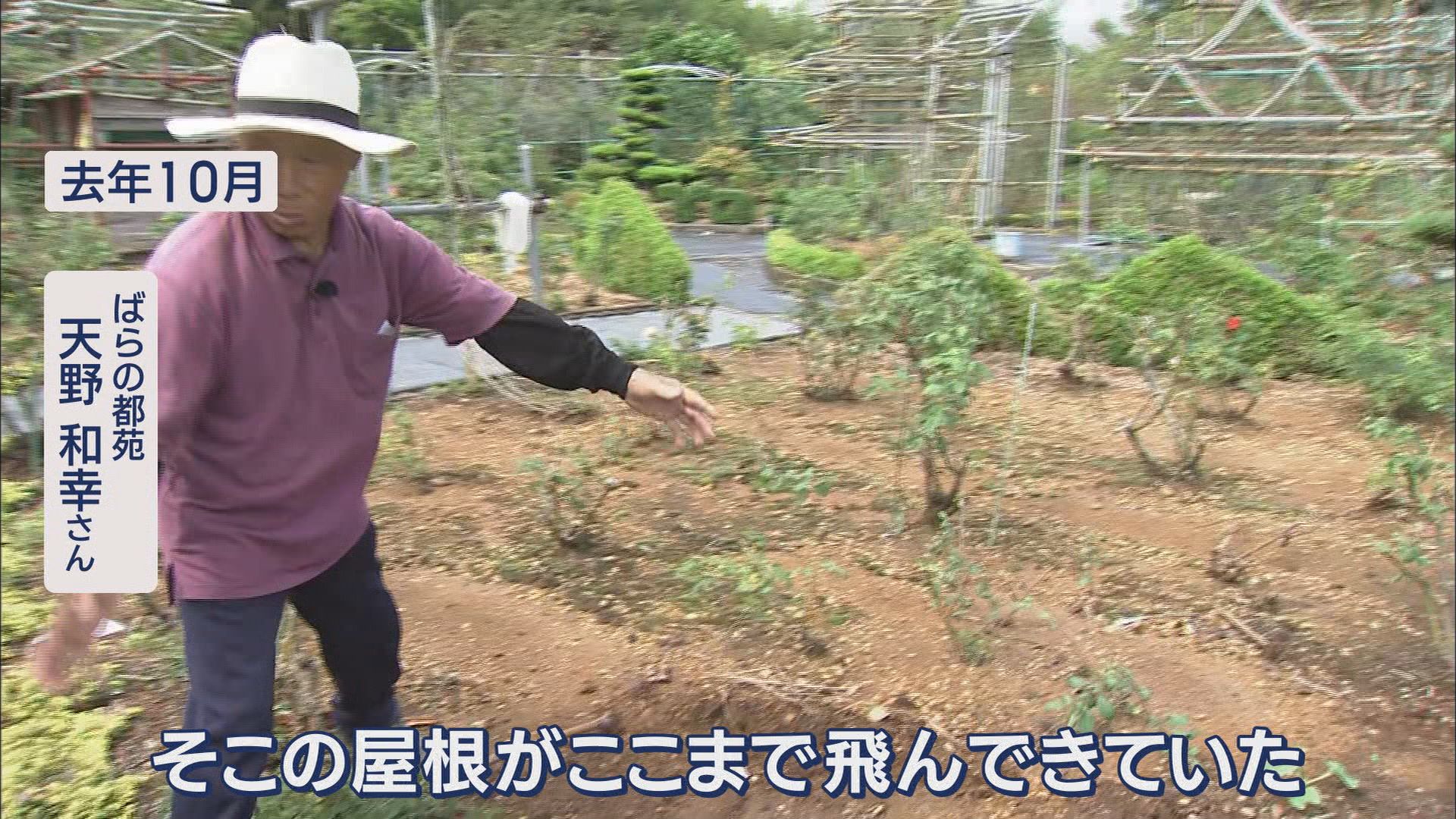 1400株のバラに込めた妻への思い…84歳が管理する無料バラ園　去年の大きな被害を乗り越えて　浜松市