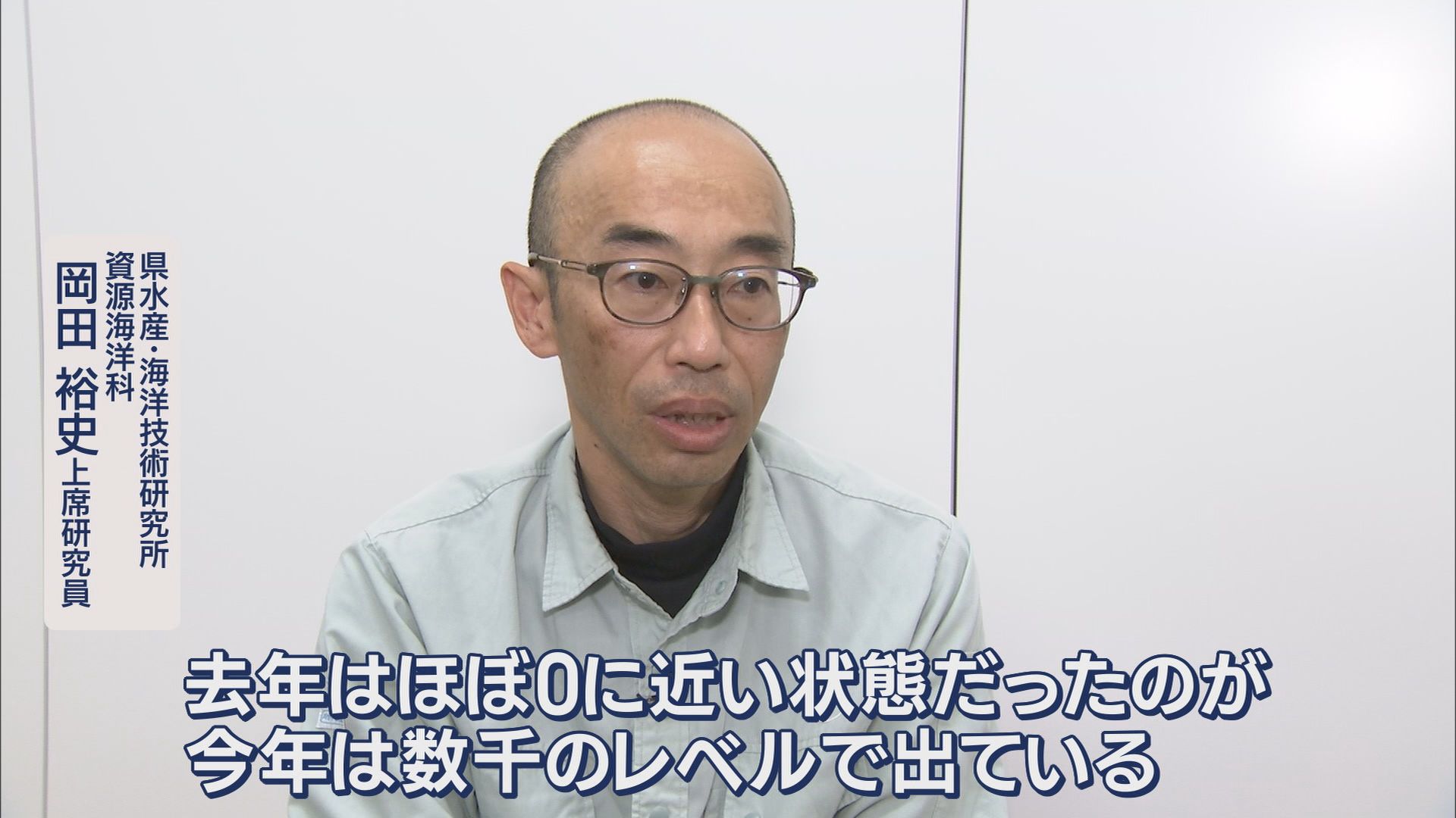 漁協「シラスが全くいない」　不漁の原因は…専門家「黒潮が流れる位置も原因か」　一方で好転の兆しも　静岡・富士市