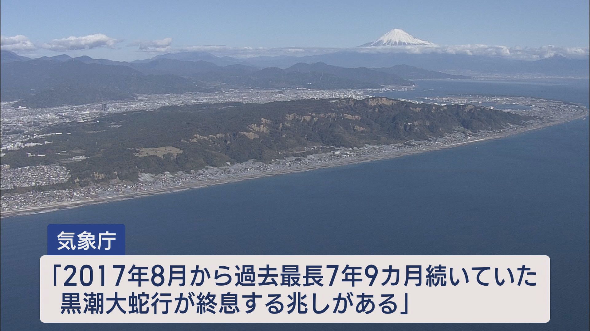 漁協「シラスが全くいない」　不漁の原因は…専門家「黒潮が流れる位置も原因か」　一方で好転の兆しも　静岡・富士市