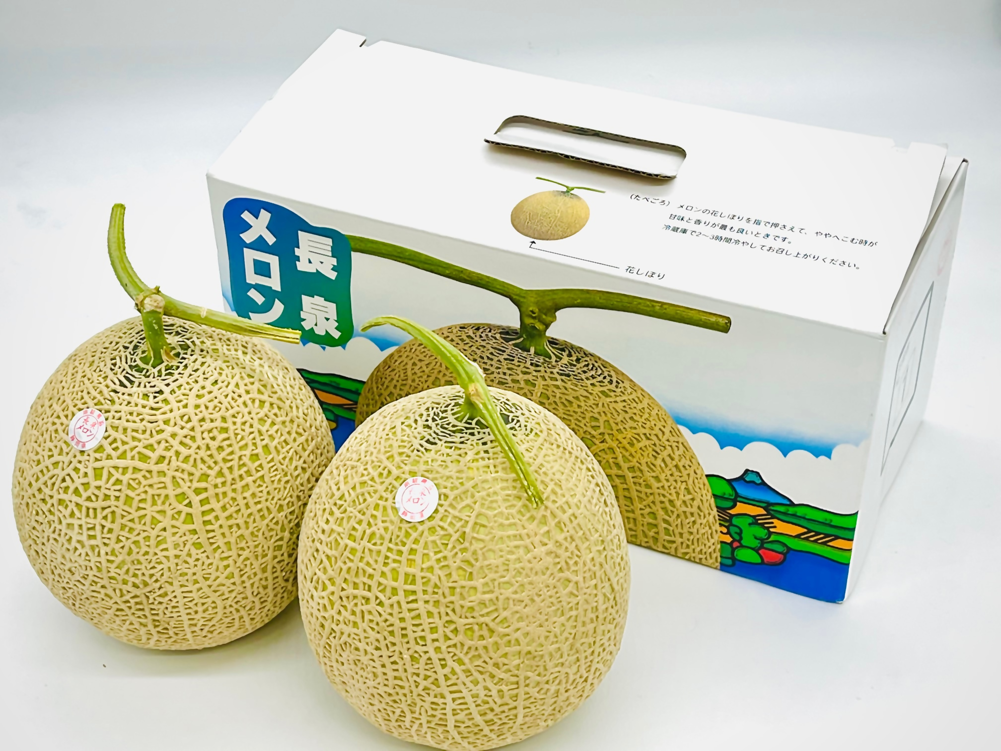 返礼品に加わる特産の長泉メロン(長泉町提供)