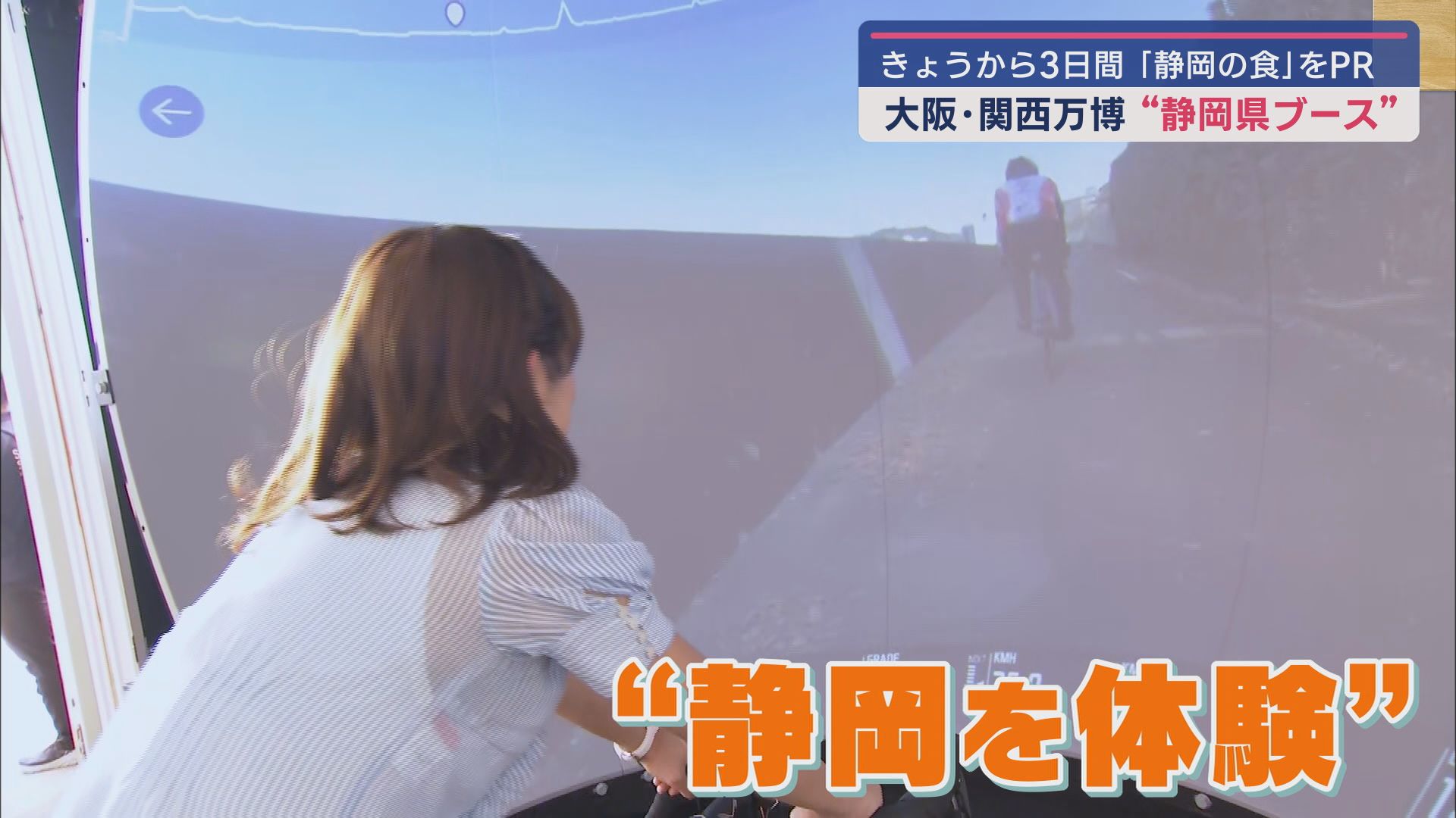 導入ゾーン