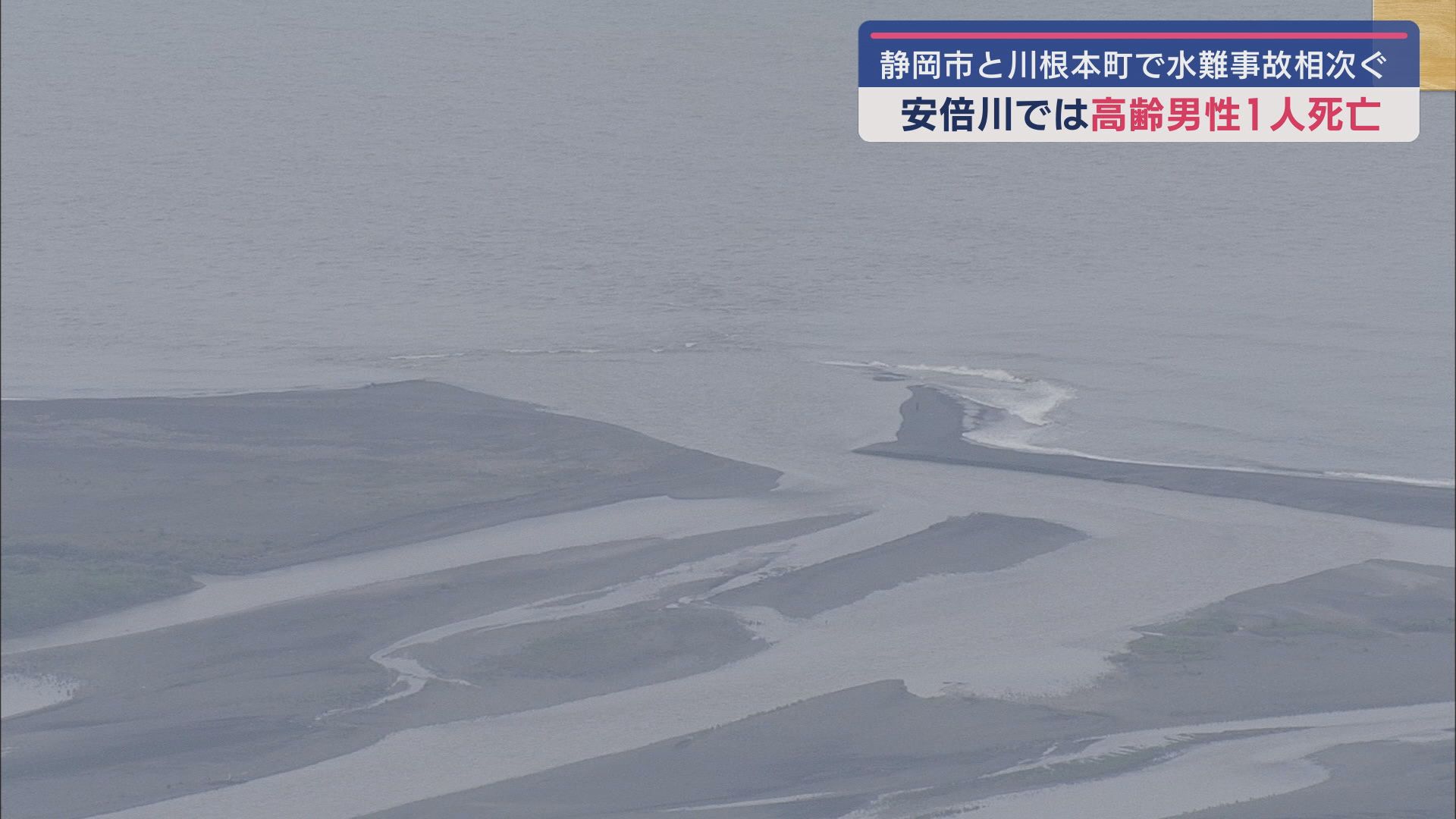 静岡市安倍川河口