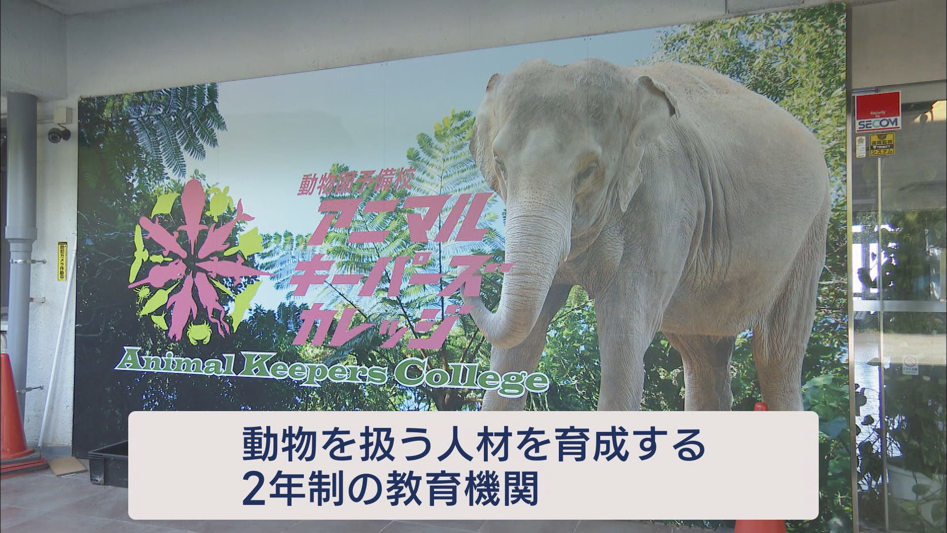 白輪社長が目指す水族館はiZooと同じ「体感型」ズーズーシー 同じ清水区に計画している市は「ウェルカム」 静岡市