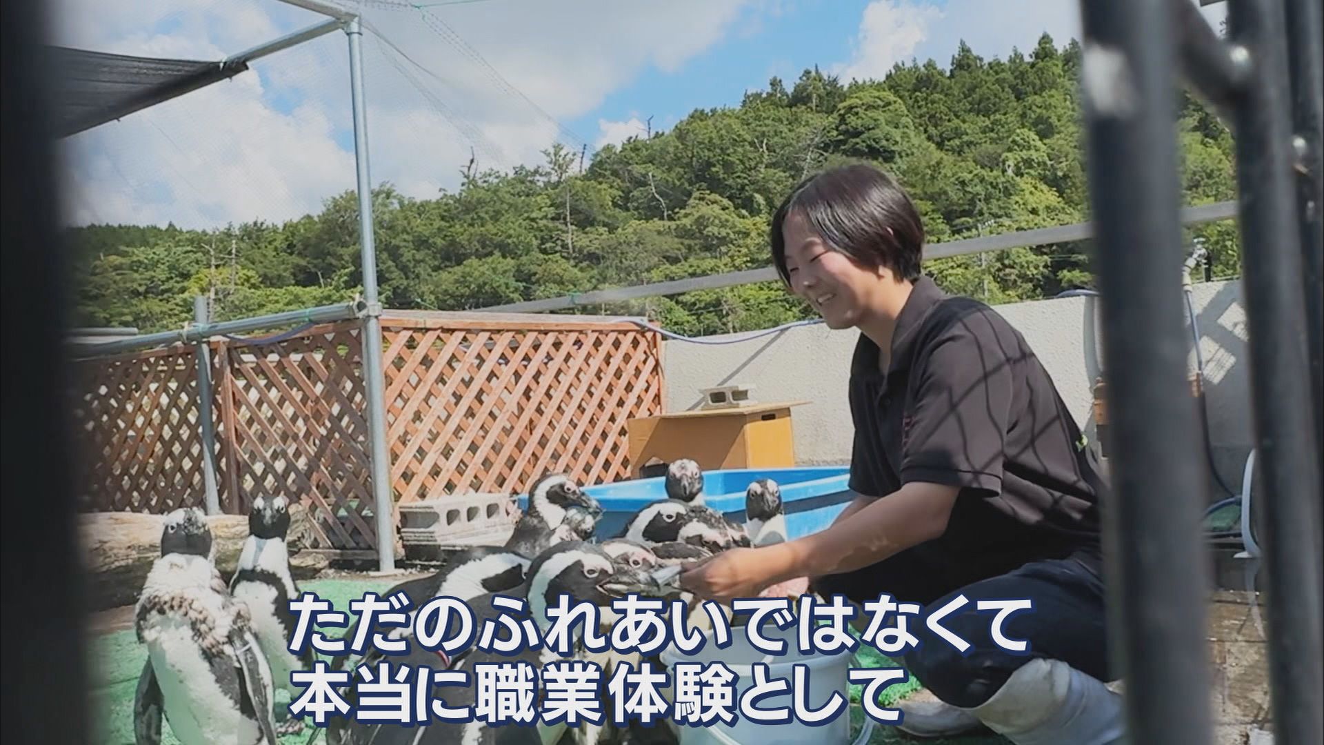 白輪社長が目指す水族館はiZooと同じ「体感型」ズーズーシー 同じ清水区に計画している市は「ウェルカム」 静岡市