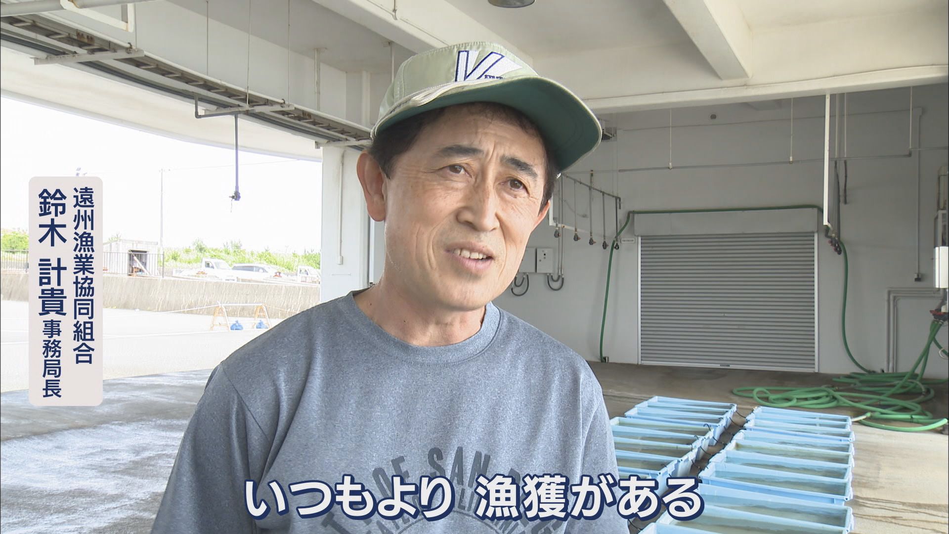 シラスは豊漁に向かうのか…黒潮大蛇行に終息の兆し 18日の漁では水揚げ12トン 静岡・磐田市