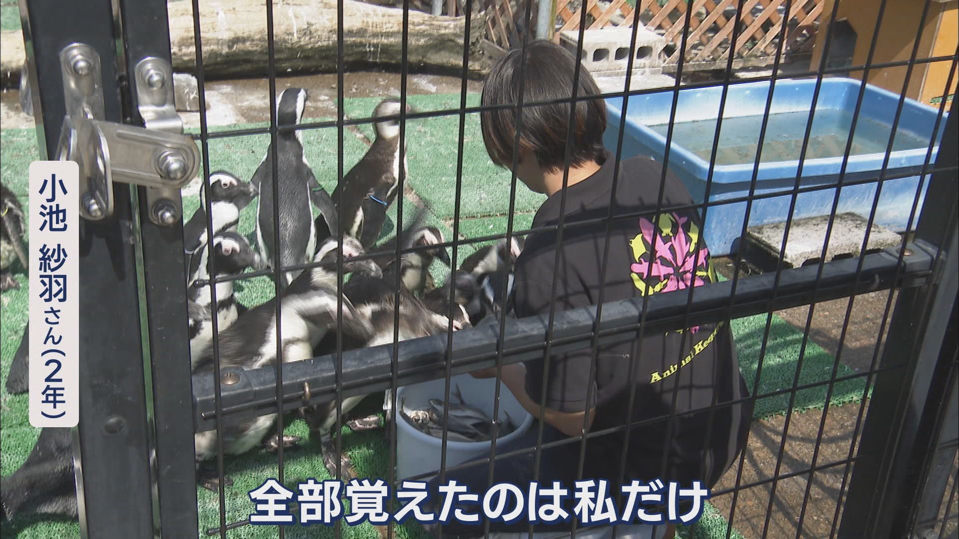 白輪社長が目指す水族館はiZooと同じ「体感型」ズーズーシー 同じ清水区に計画している市は「ウェルカム」 静岡市