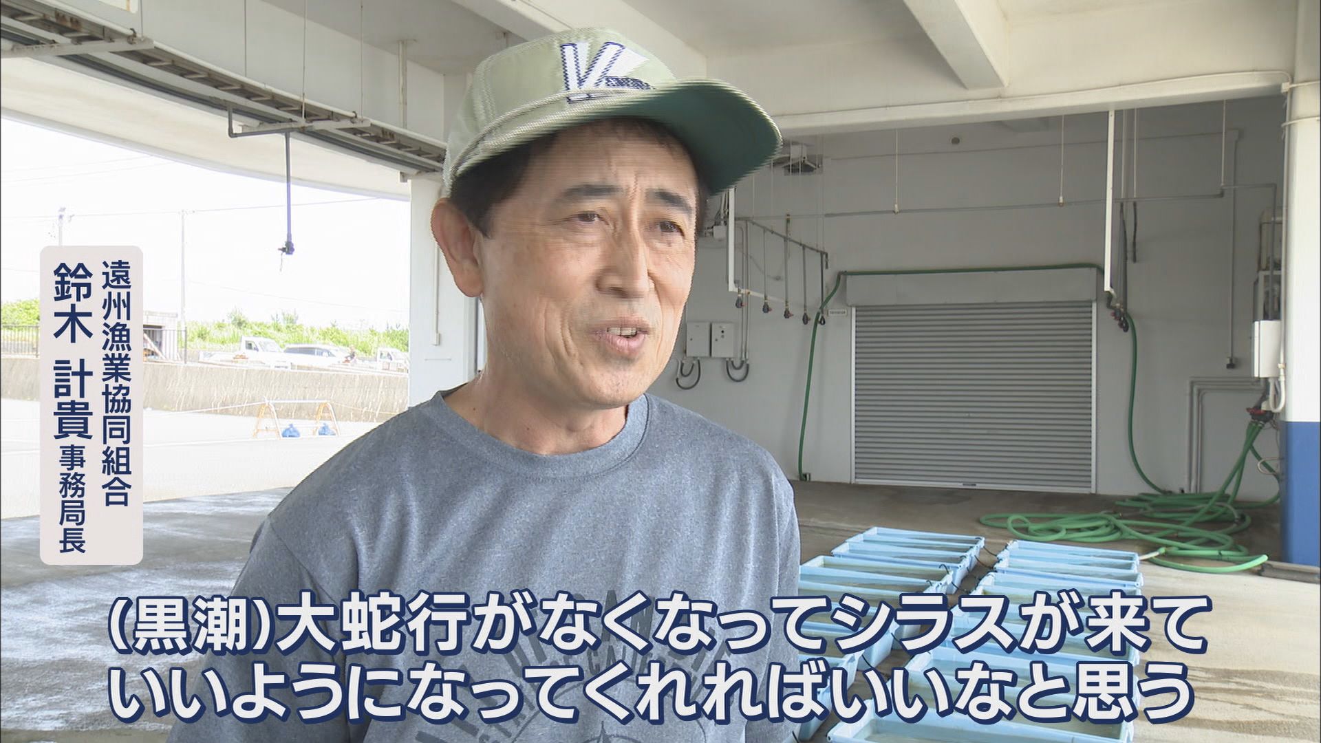 シラスは豊漁に向かうのか…黒潮大蛇行に終息の兆し 18日の漁では水揚げ12トン 静岡・磐田市