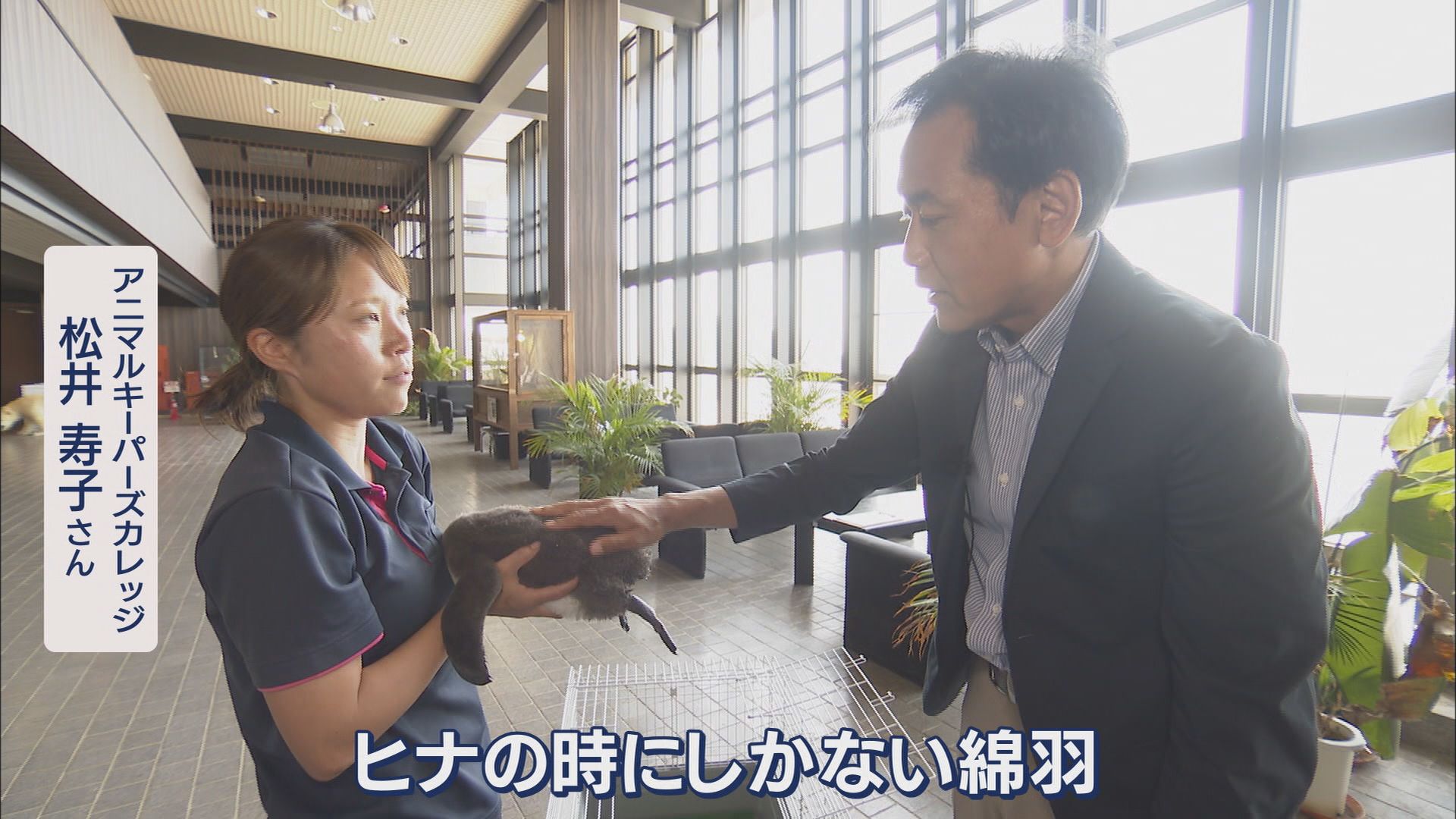 白輪社長が目指す水族館はiZooと同じ「体感型」ズーズーシー 同じ清水区に計画している市は「ウェルカム」 静岡市