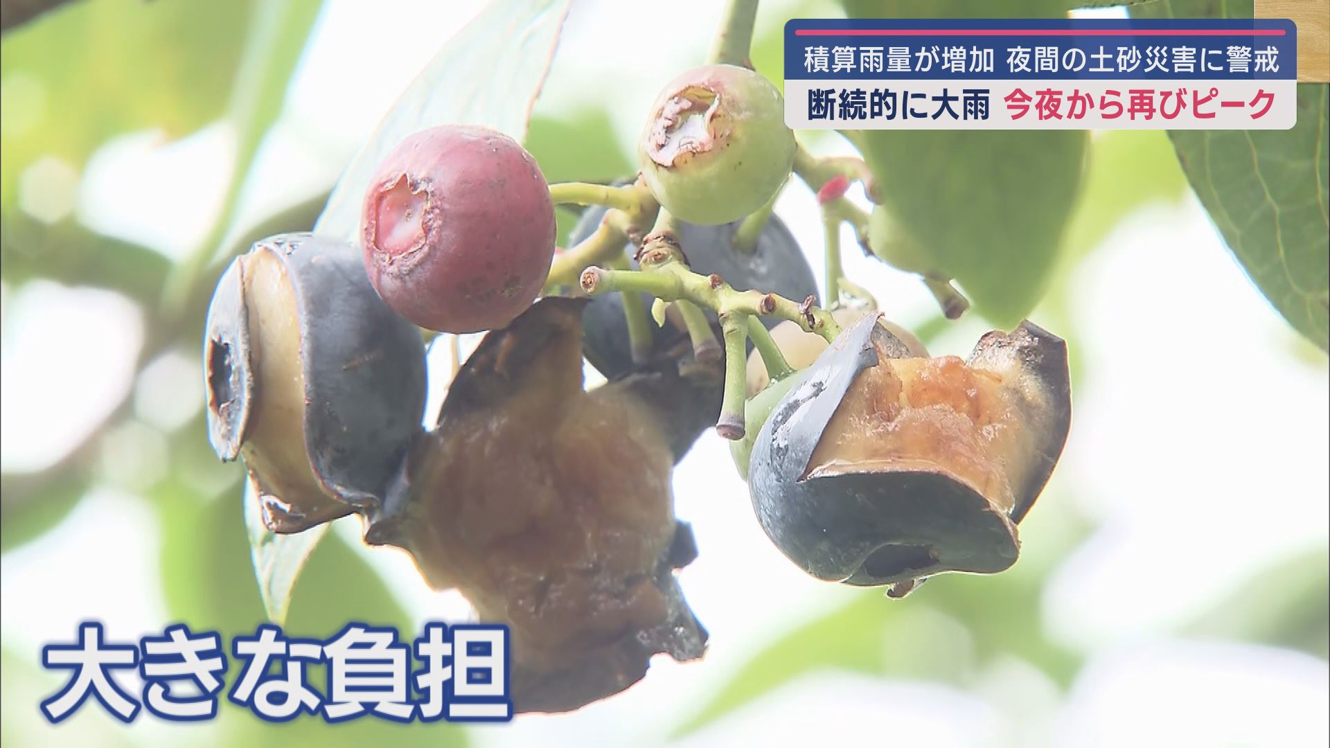 大きな負担