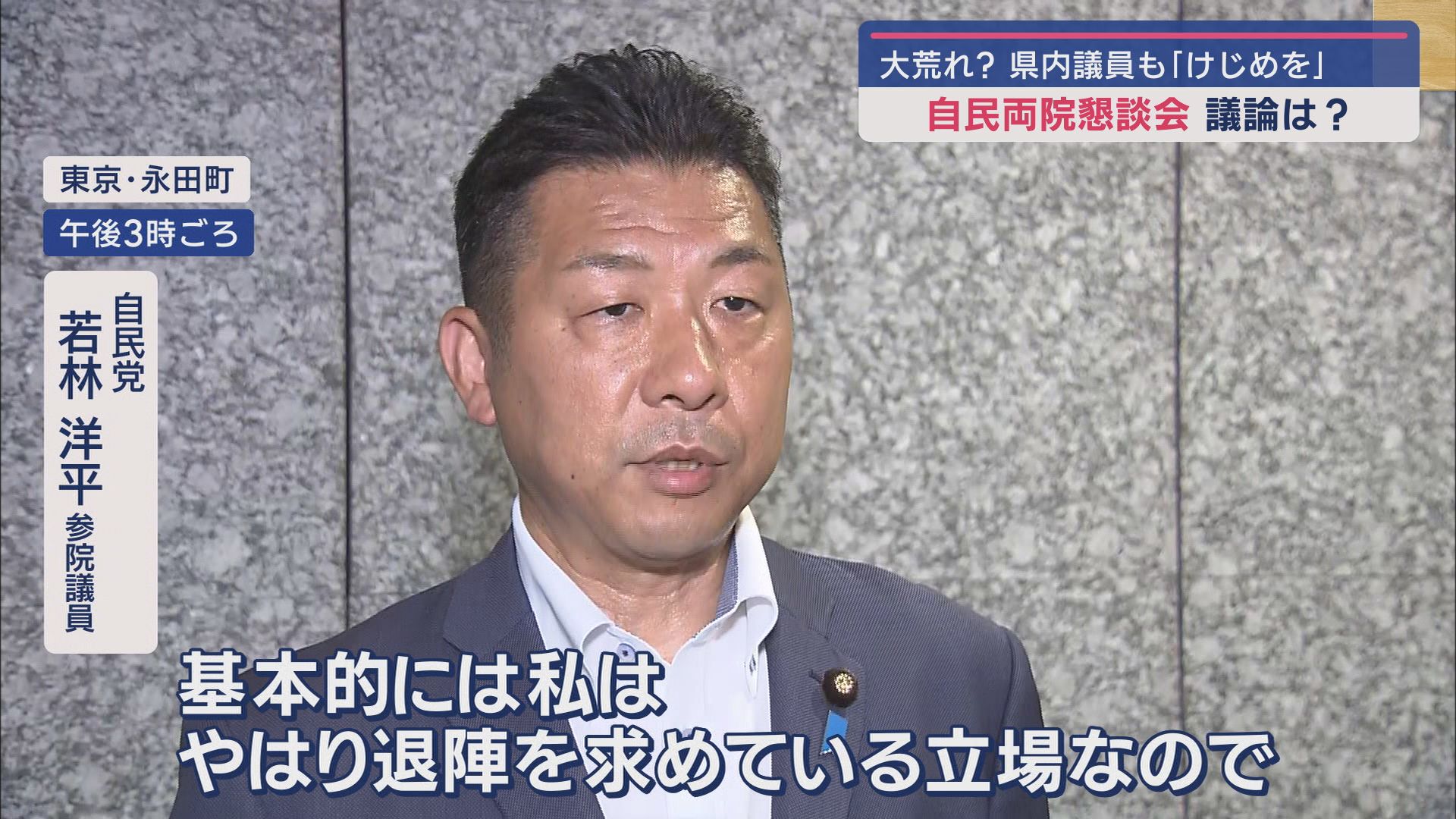 若林洋平参院議員