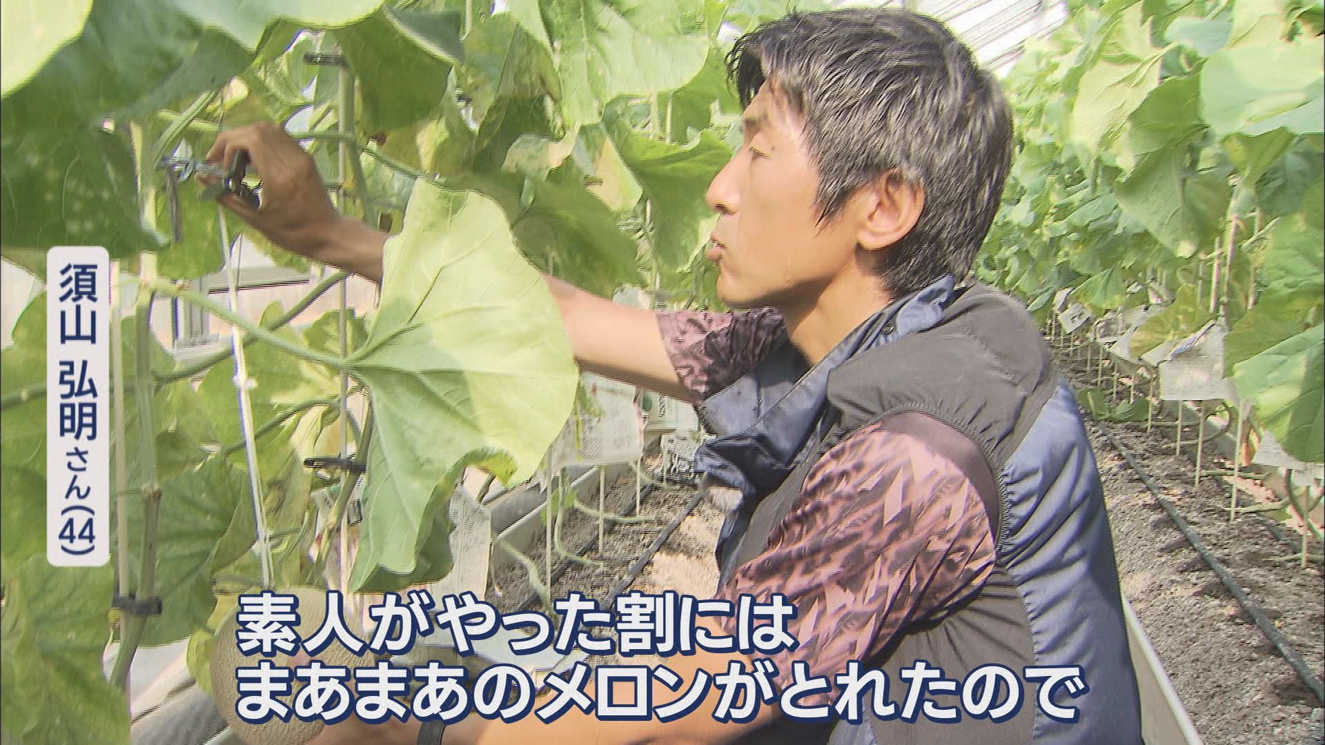 後継者不足に悩むメロン農家に33年ぶりの新規就農者…国立大卒44歳の元広告マン　静岡・袋井市