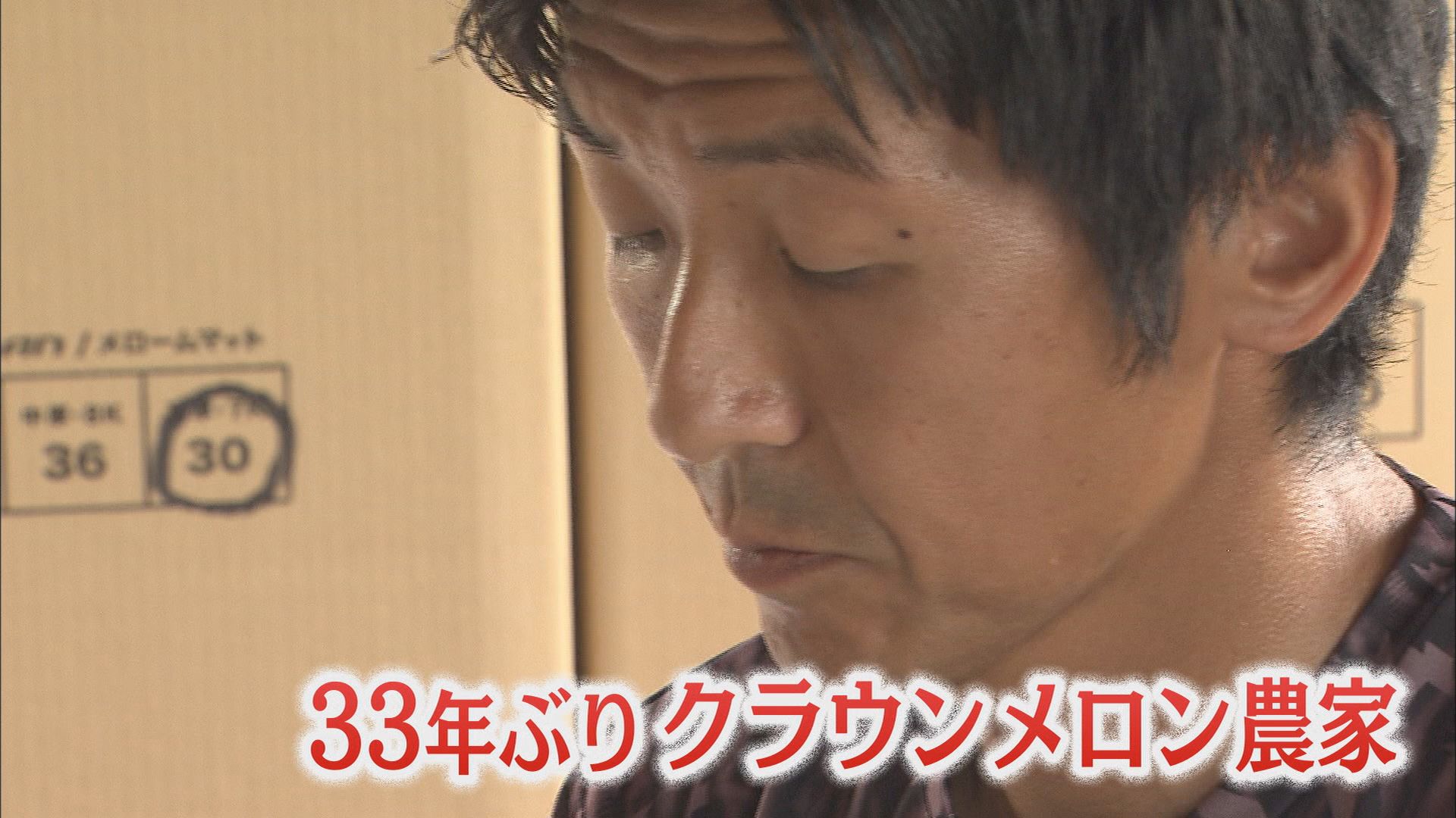 後継者不足に悩むメロン農家に33年ぶりの新規就農者…国立大卒44歳の元広告マン　静岡・袋井市