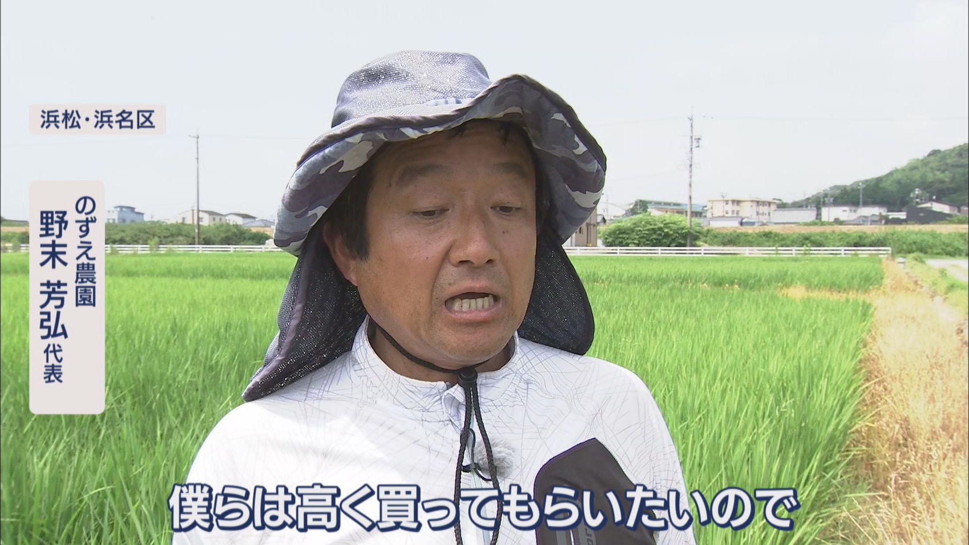 ことしのコメ価格5キロ3000円台か…今後の作柄も注視 害虫イネカメムシが異常発生 静岡県