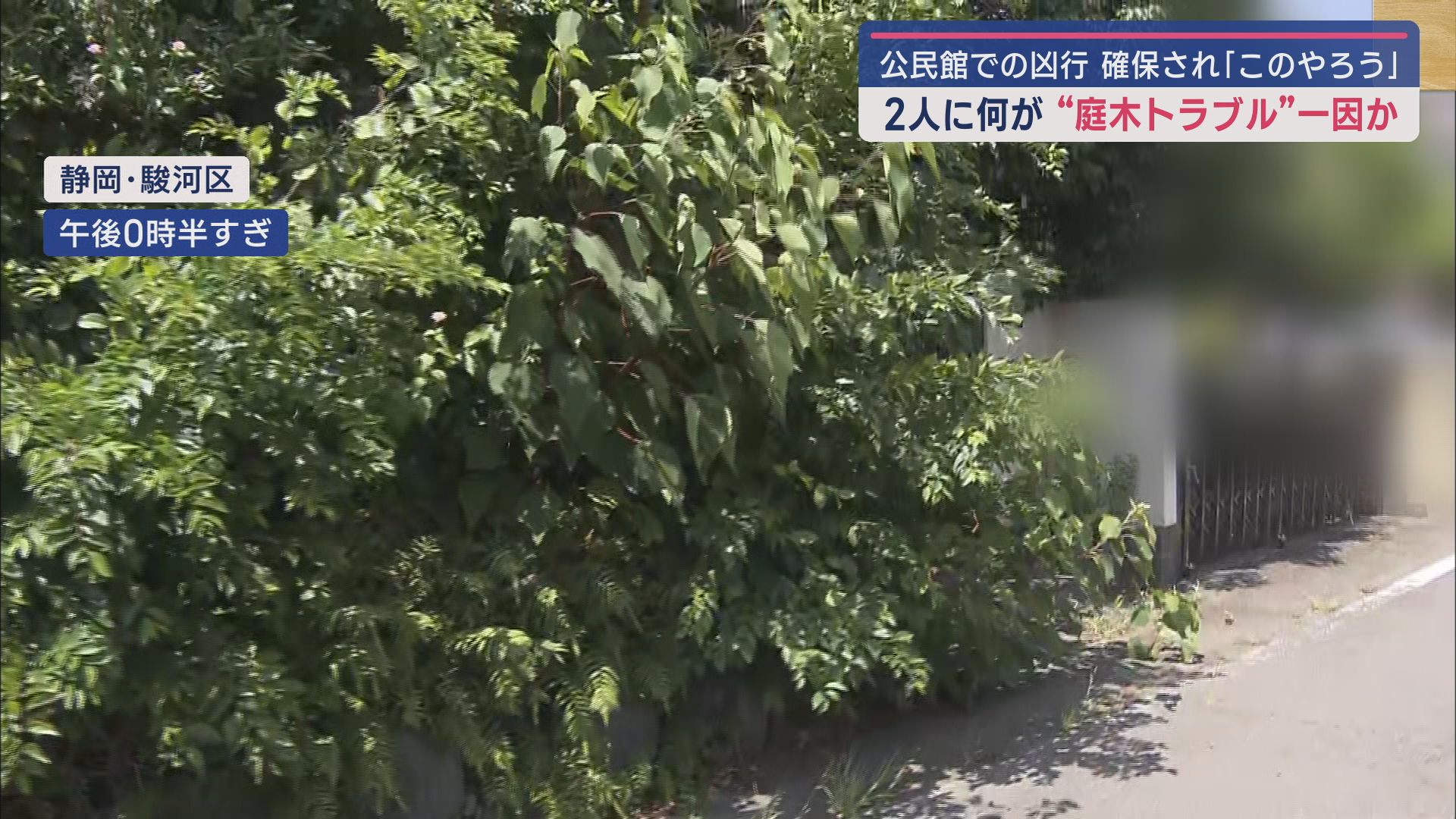 容疑者と被害者「庭木」めぐりトラブルか 公民館殺人事件で54歳の男を逮捕 静岡市