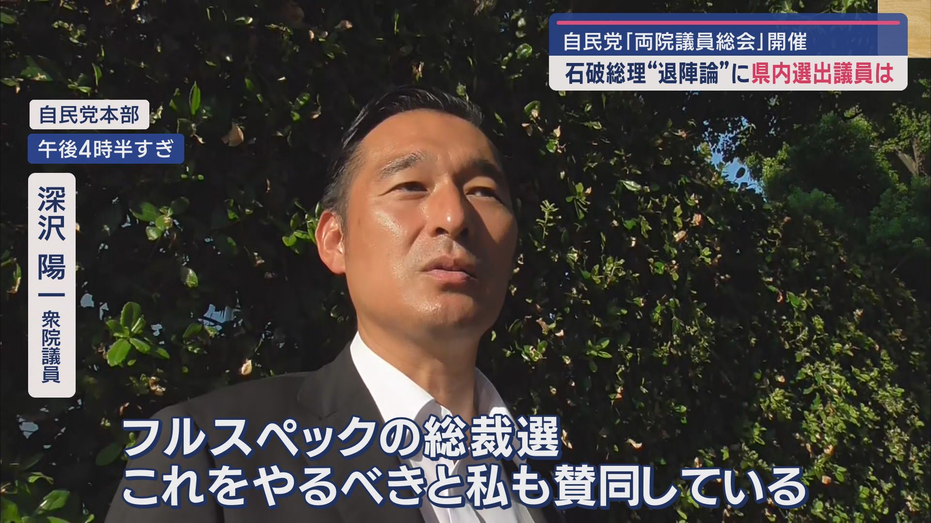 深沢陽一衆院議員