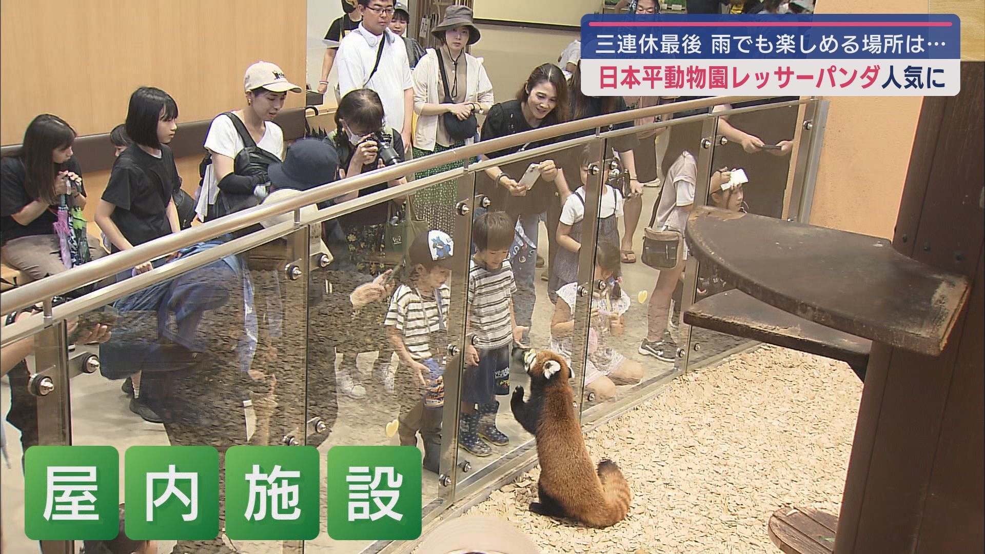 お盆休み前半の三連休は静岡県内も天候に翻弄 日本平動物園は屋内施設が人気