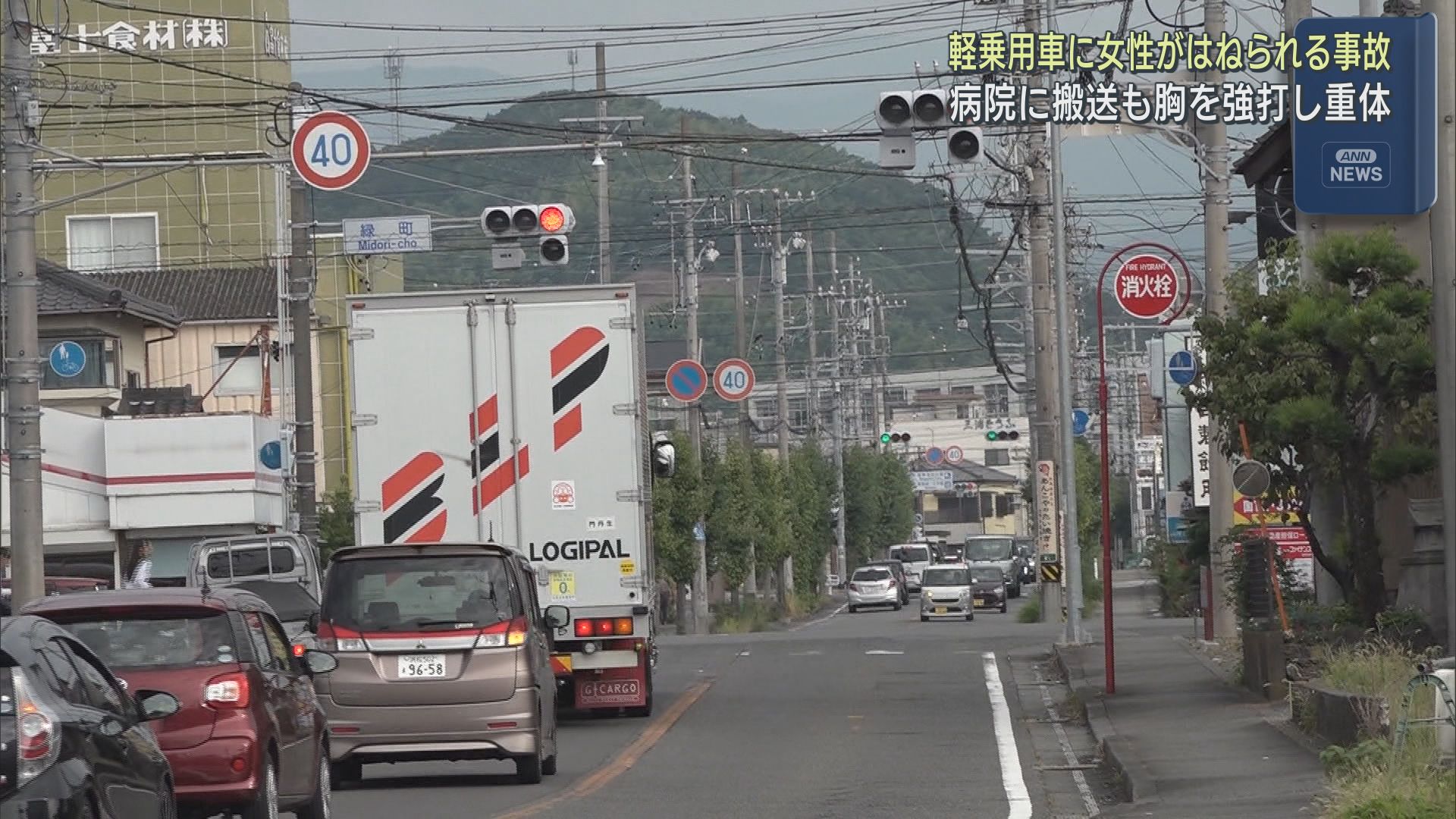 静岡・藤枝市で道路を横断していた女性が軽乗用車にはねられ重体