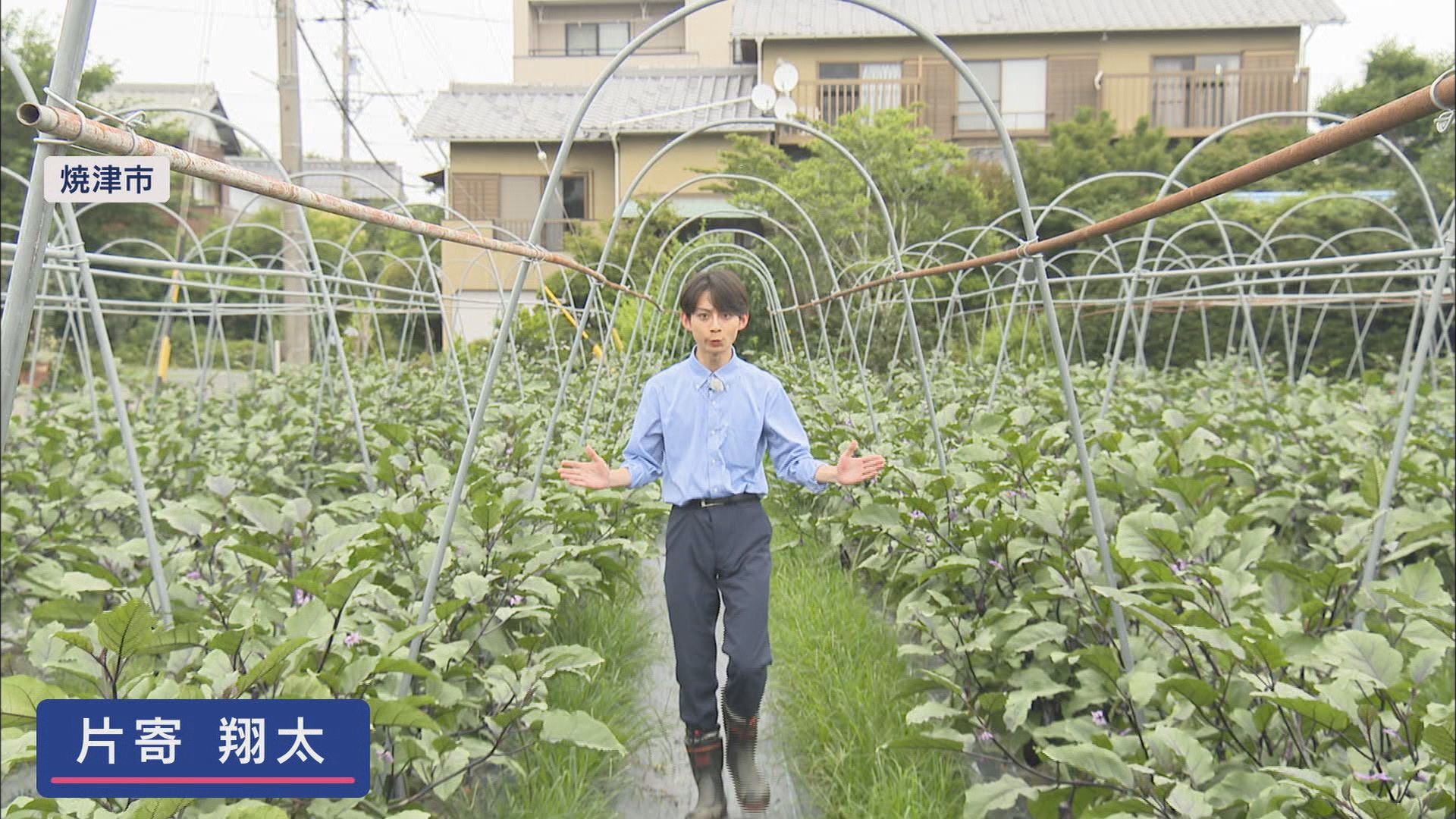 片寄翔太アナウンサー