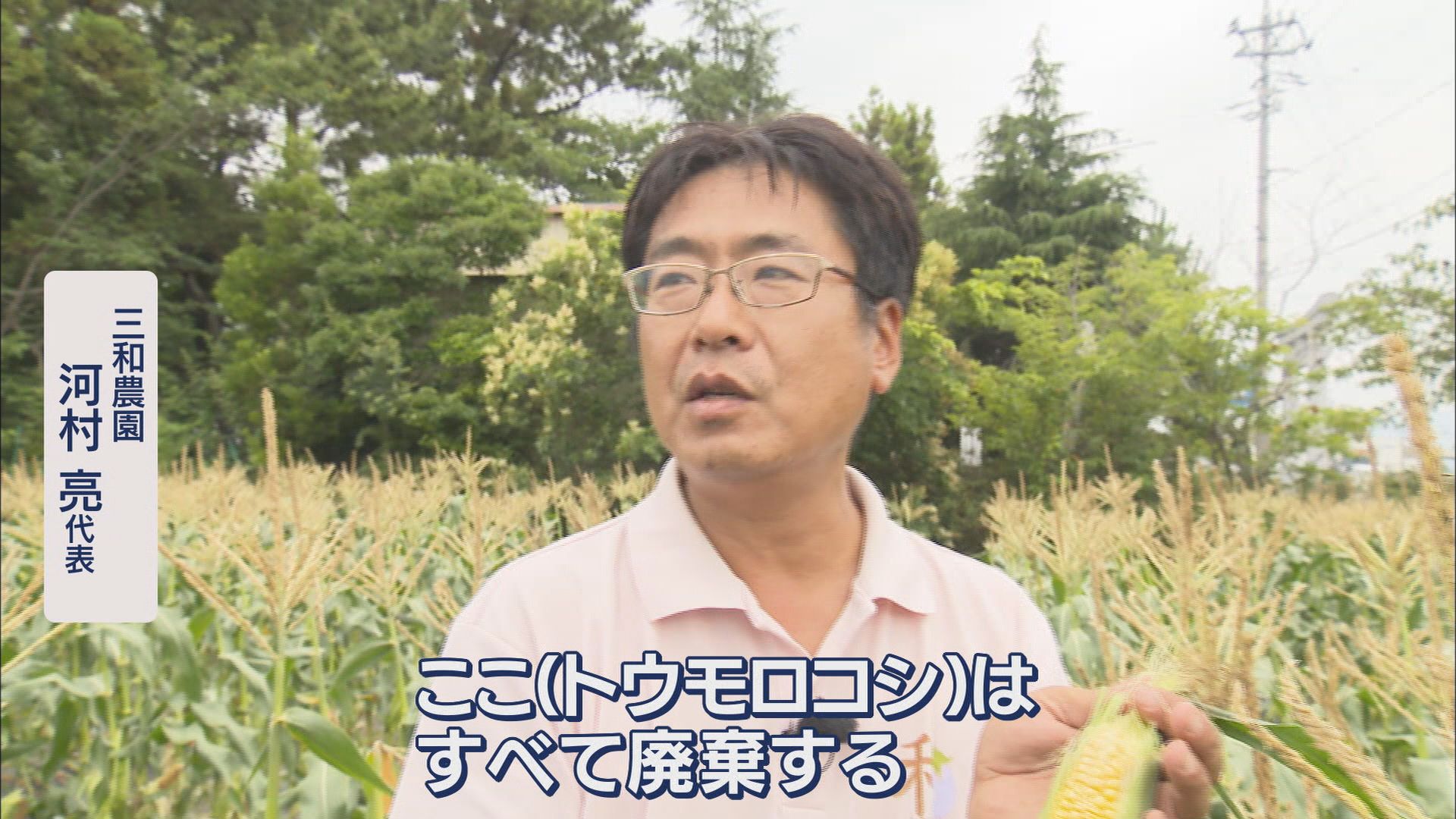 “観測史上最も暑い6月”…夏野菜にダメージ トウモロコシはしぼみ、ナス・ピーマンは高値 静岡市