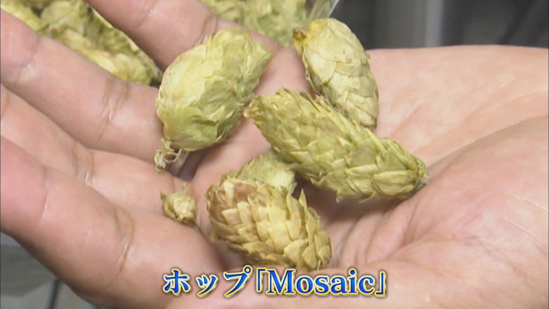 世界遺産の隣で2度目の『世界一』(前)…クラフトビール「早雲」が世界最高金賞 静岡・伊豆の国市「蔵屋鳴沢」
