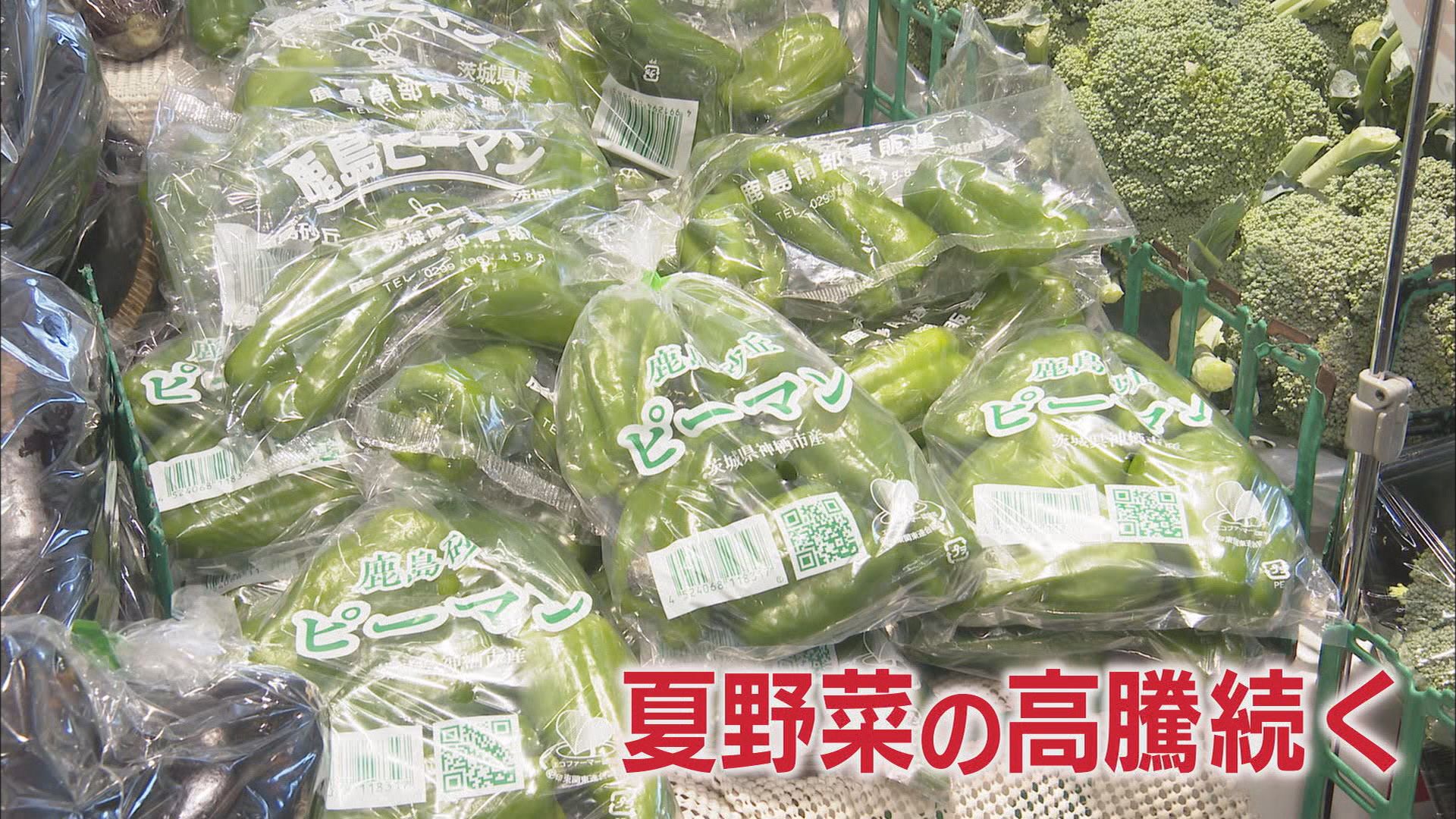 “観測史上最も暑い6月”…夏野菜にダメージ トウモロコシはしぼみ、ナス・ピーマンは高値 静岡市