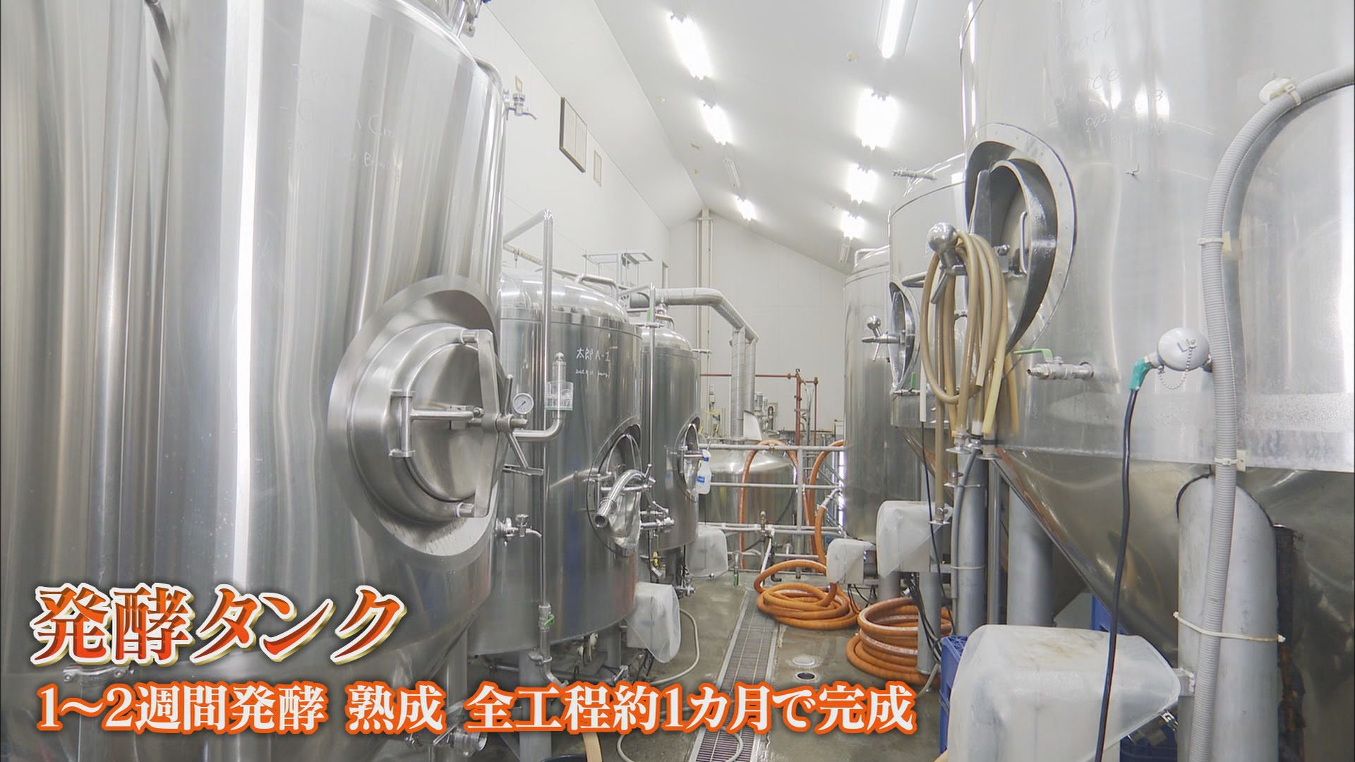 世界遺産の隣で2度目の『世界一』(後)…クラフトビール「早雲」4種類のホップで味わいのバランスを 静岡・伊豆の国市「蔵屋鳴沢」