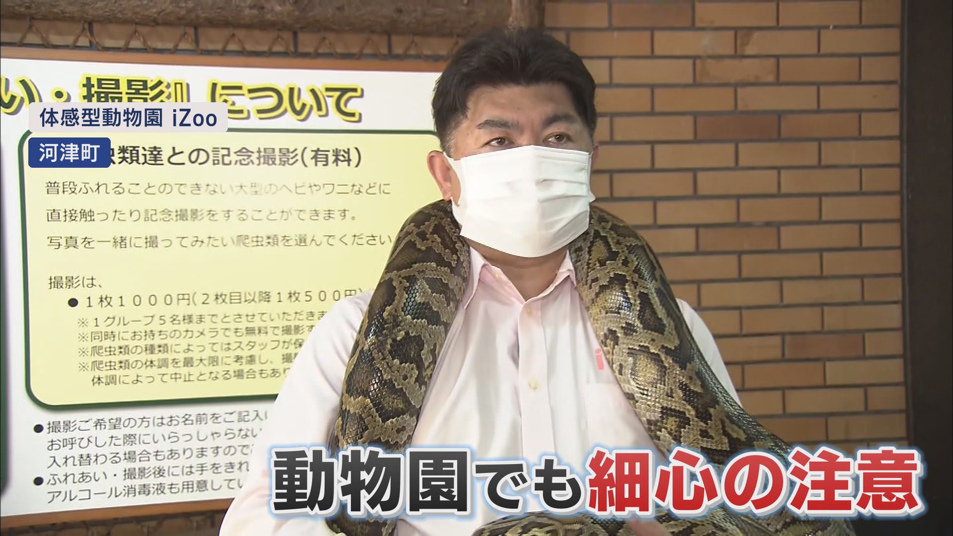 “森の吸血鬼”マダニから感染…致死率27%のSFTSが増加　野生動物から感染も　静岡県