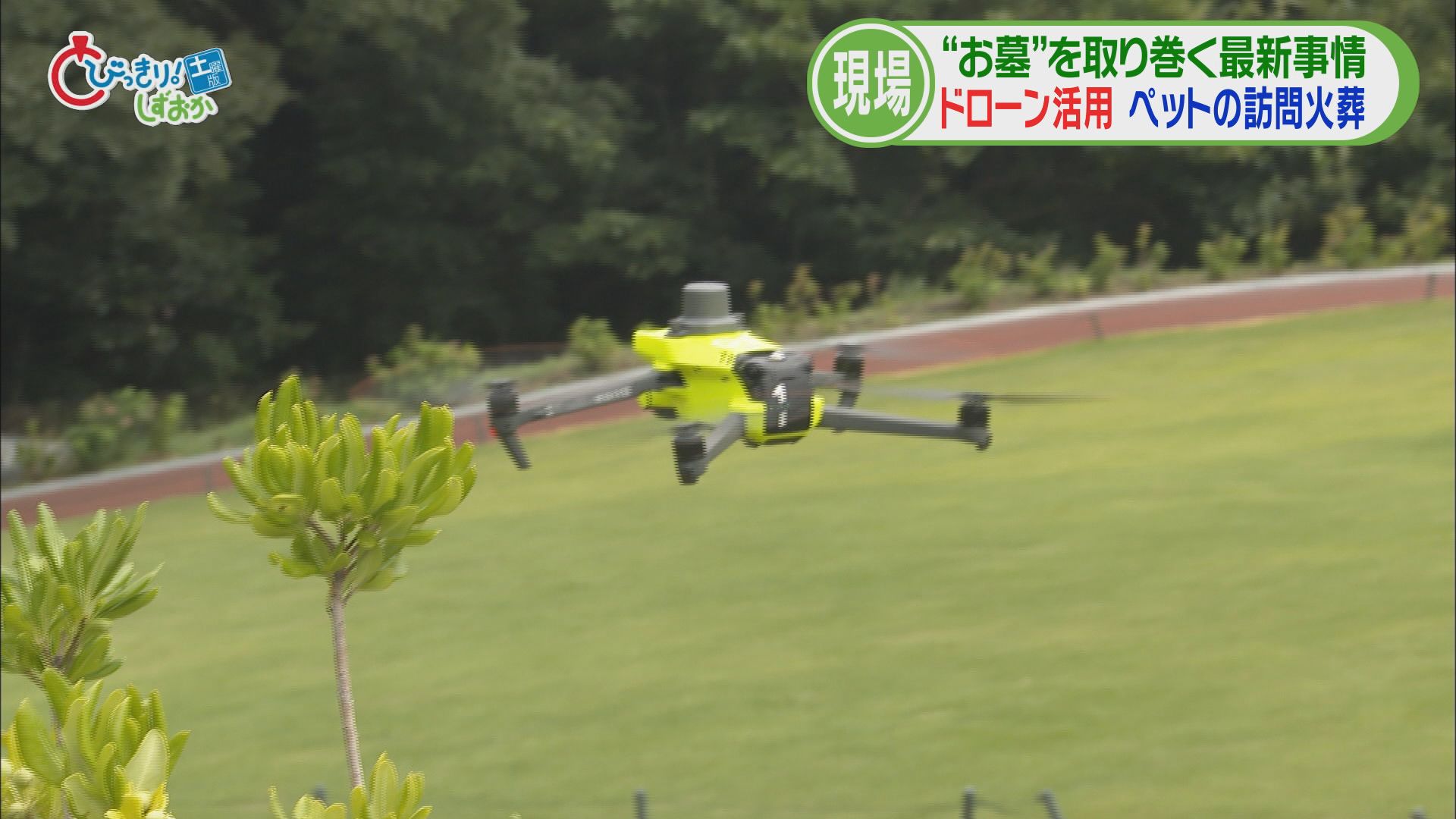 ドローンが大活躍!? 樹木葬専門の霊園は景観バッチリ…骨壺は「紙製」驚きのワケは/当世お墓事情(前) 静岡・伊東市