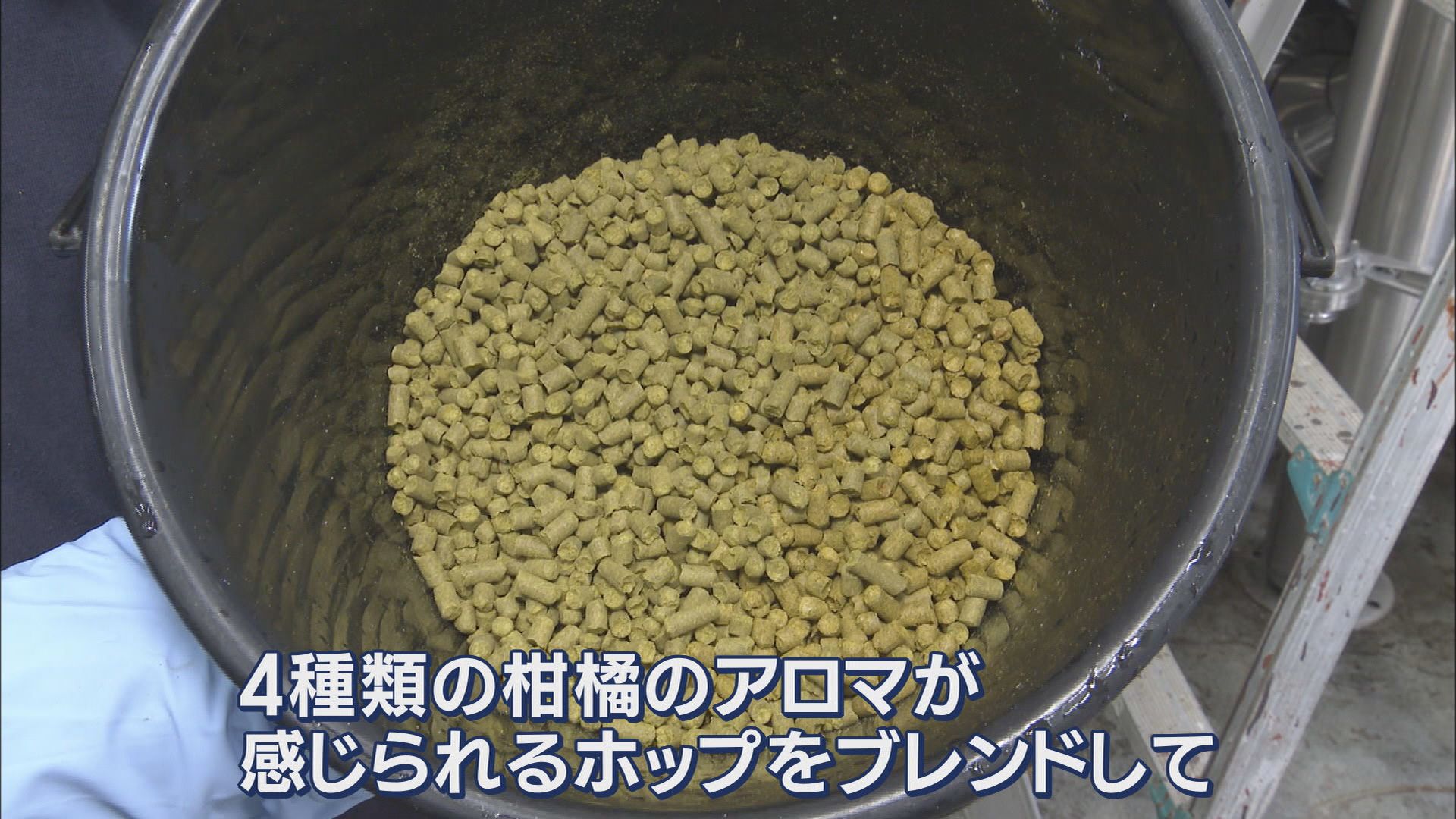 世界遺産の隣で2度目の『世界一』(後)…クラフトビール「早雲」4種類のホップで味わいのバランスを 静岡・伊豆の国市「蔵屋鳴沢」