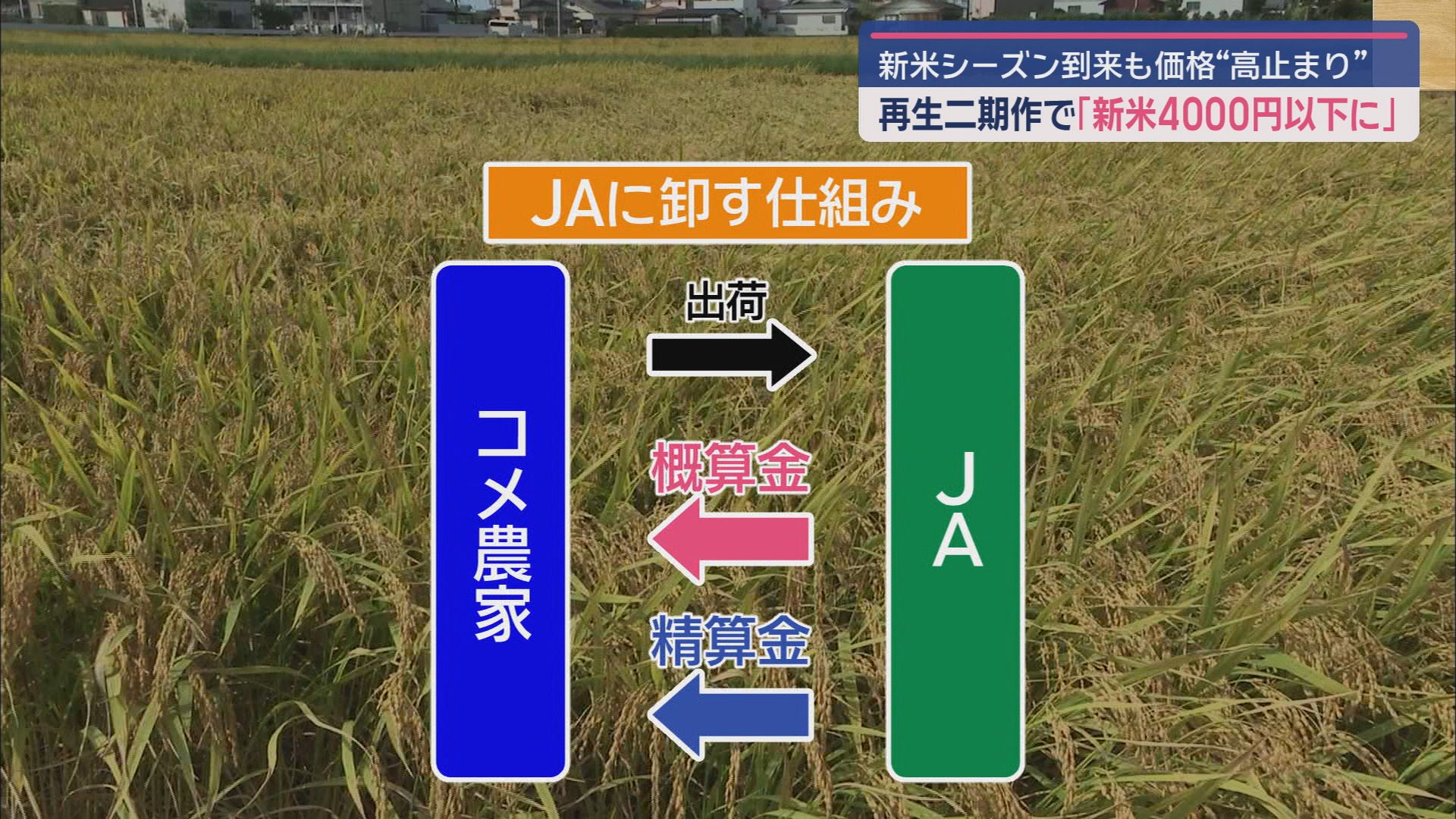 概算金と清算金