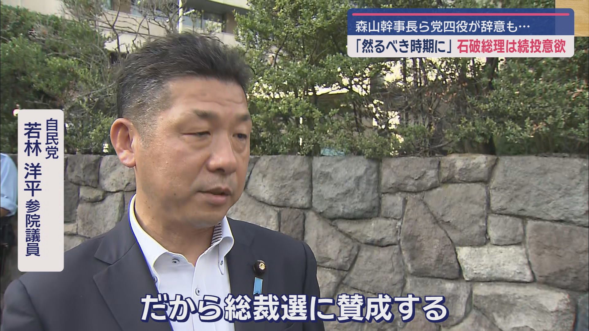 自民党　若林洋平参院議員