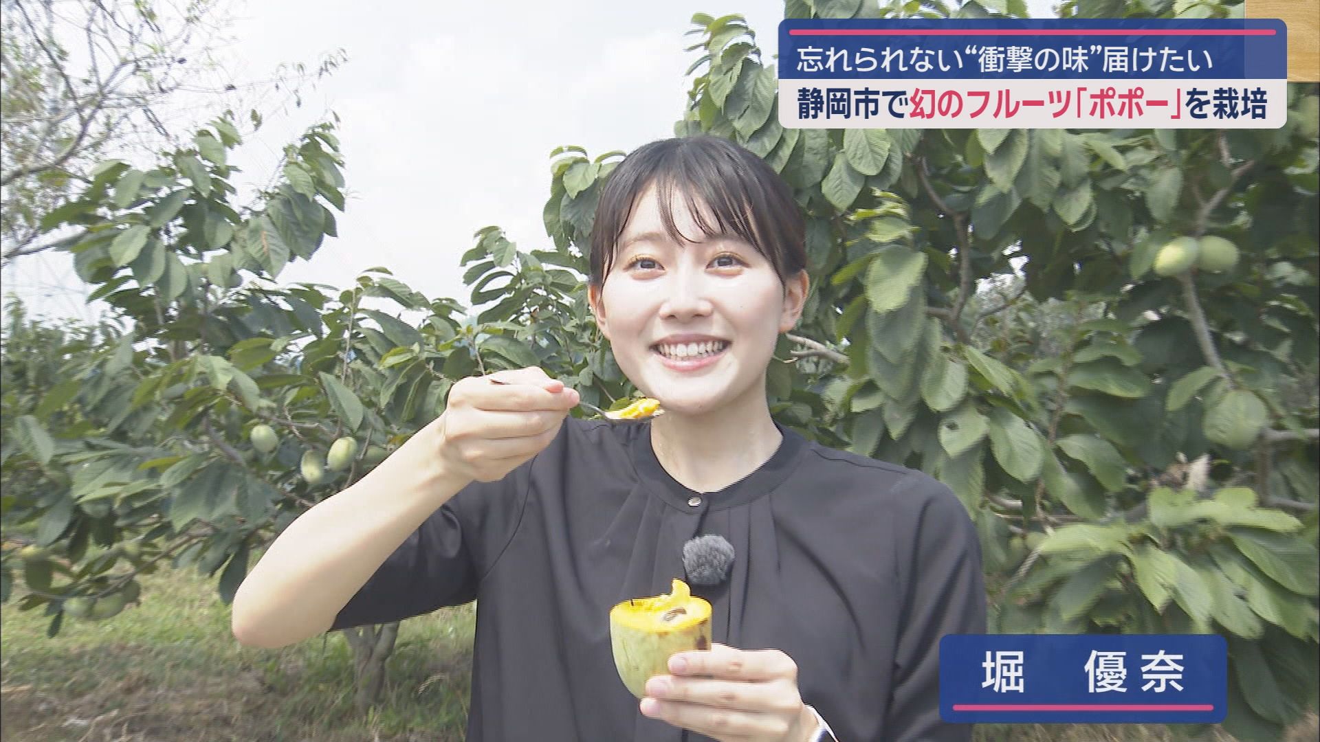 生産者は全国で10軒ほど…糖度25度以上「幻のフルーツ・ポポー」 静岡市で栽培 新作は「ポポーどら焼き」