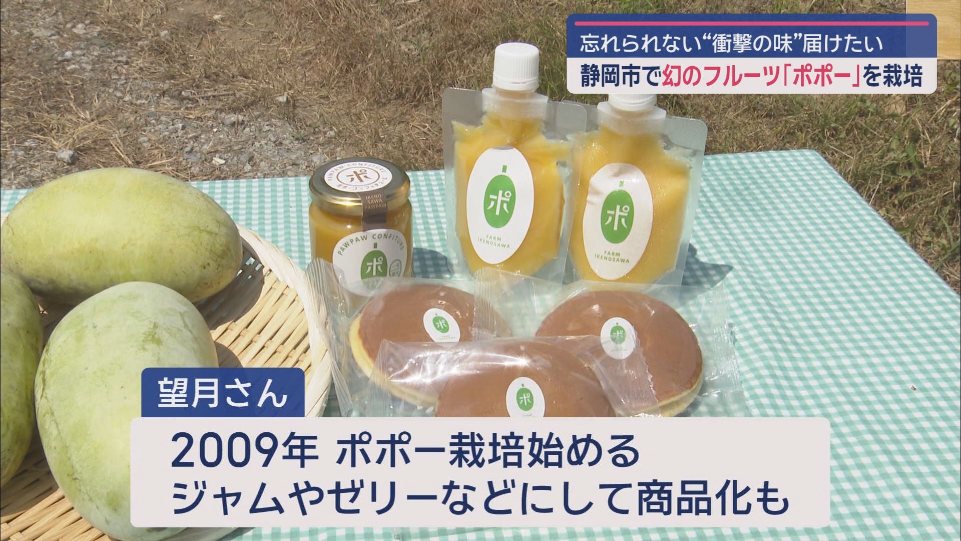 生産者は全国で10軒ほど…糖度25度以上「幻のフルーツ・ポポー」 静岡市で栽培 新作は「ポポーどら焼き」