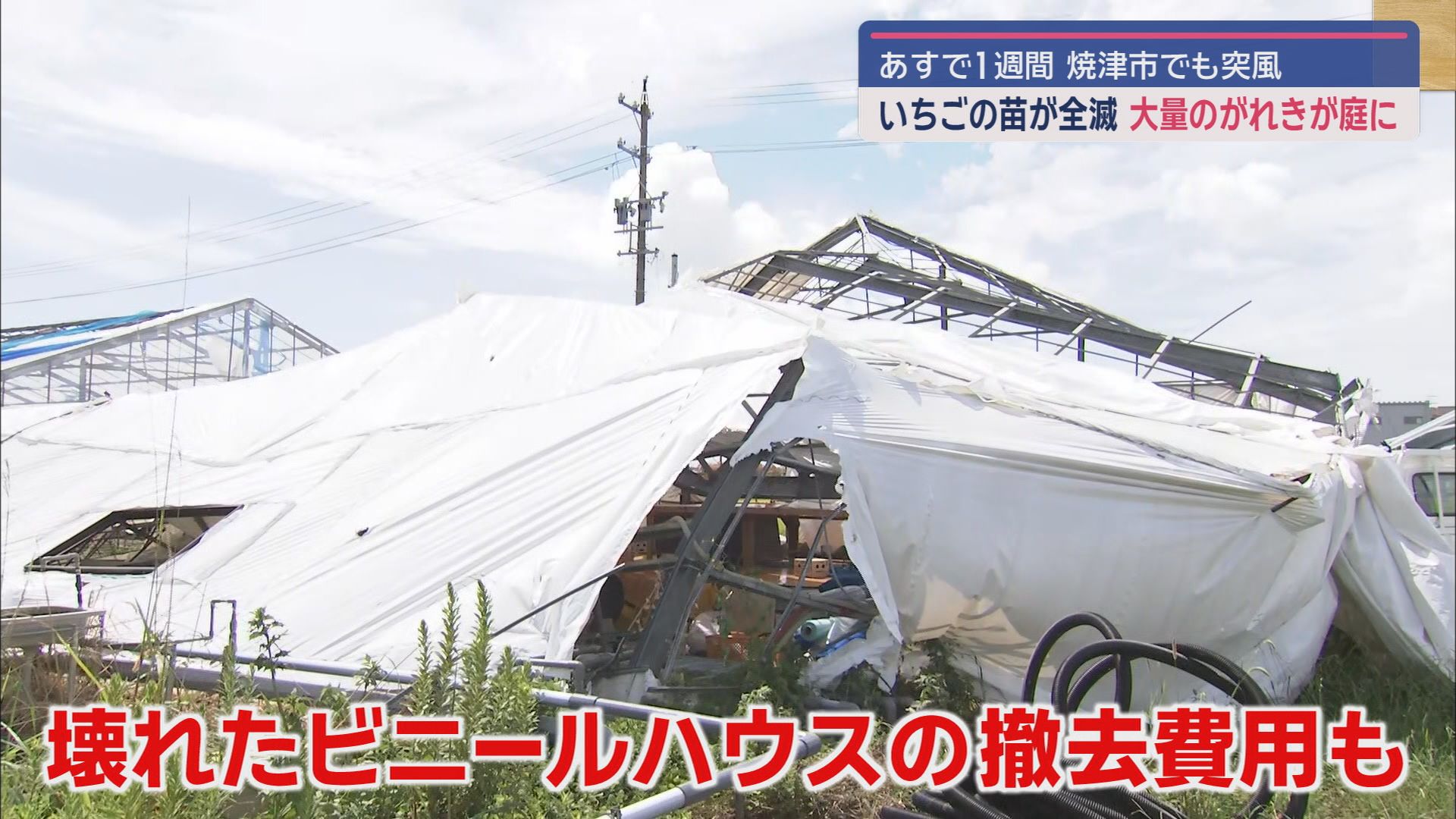 静岡県内竜巻被害からあすで1週間　「漏電火災が怖くて電気を入れられない」　焼津市ではいちご農園に被害