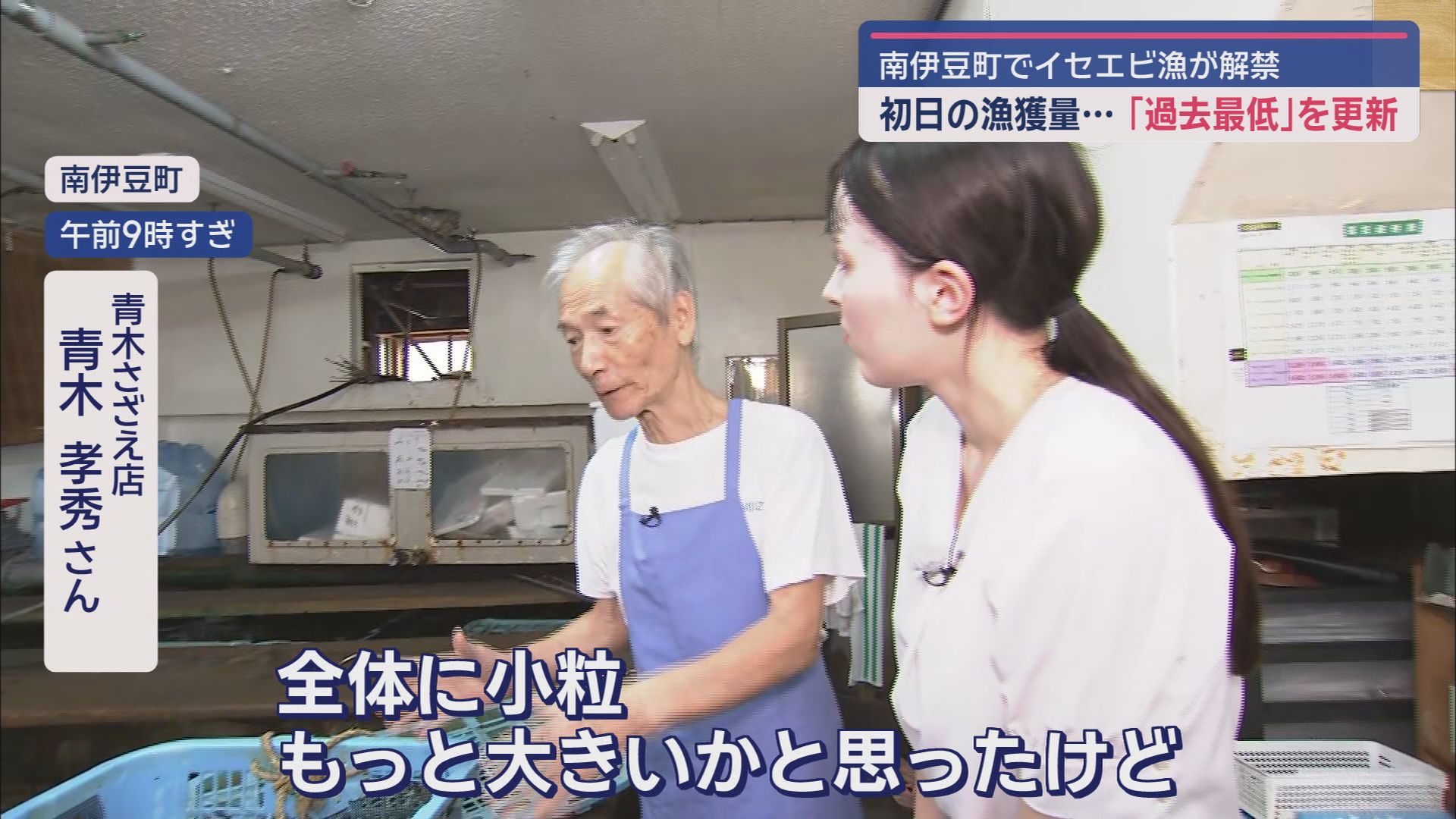 黒潮大蛇行の終息で期待のイセエビ漁…初日の水揚げは過去最低でも「少しずつ増えていけば」　静岡・南伊豆町