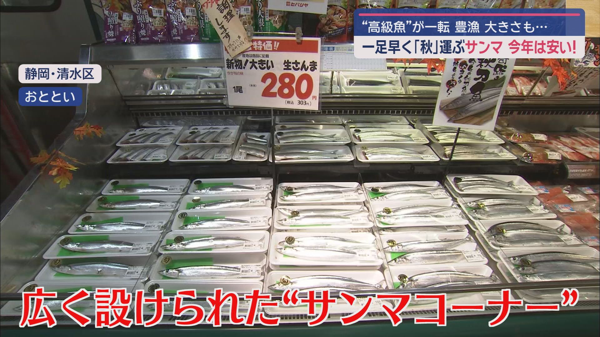 庶民の味方、サンマが豊漁 去年より大きいのに値段は安い!