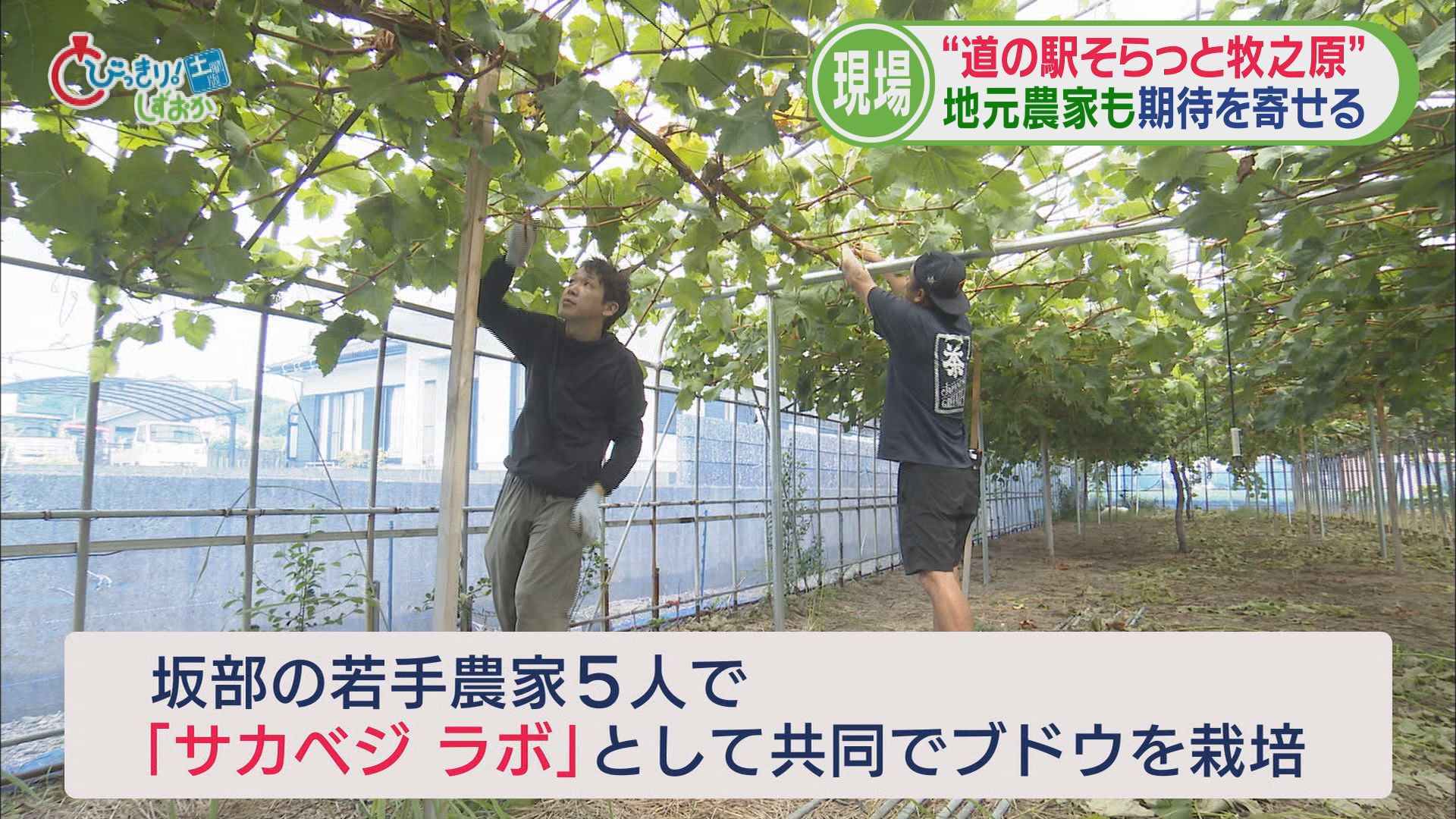 開店時には長い行列…「道の駅そらっと牧之原」人気のヒミツ 評判店手掛ける運営会社のノウハウ生かし 静岡・牧之原市