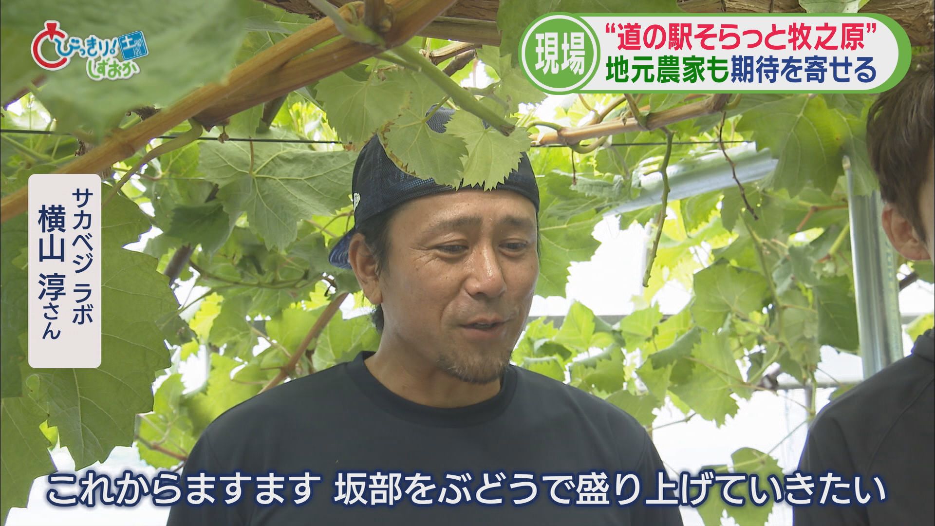 開店時には長い行列…「道の駅そらっと牧之原」人気のヒミツ 評判店手掛ける運営会社のノウハウ生かし 静岡・牧之原市