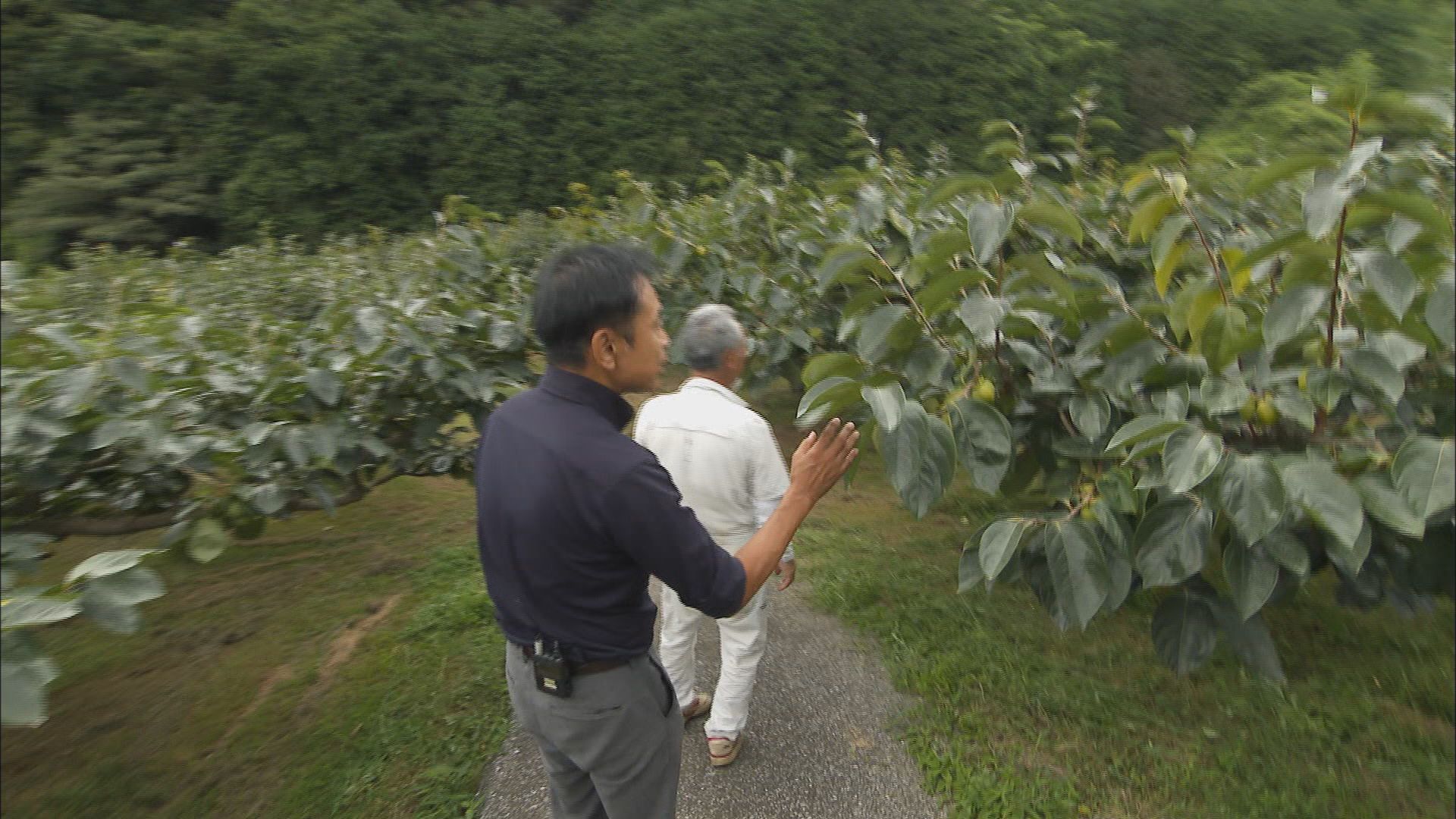自治体が「ふるさと納税」増にあの手この手…静岡市は3年で6倍に　県内最下位の長泉町も反転攻勢 静岡