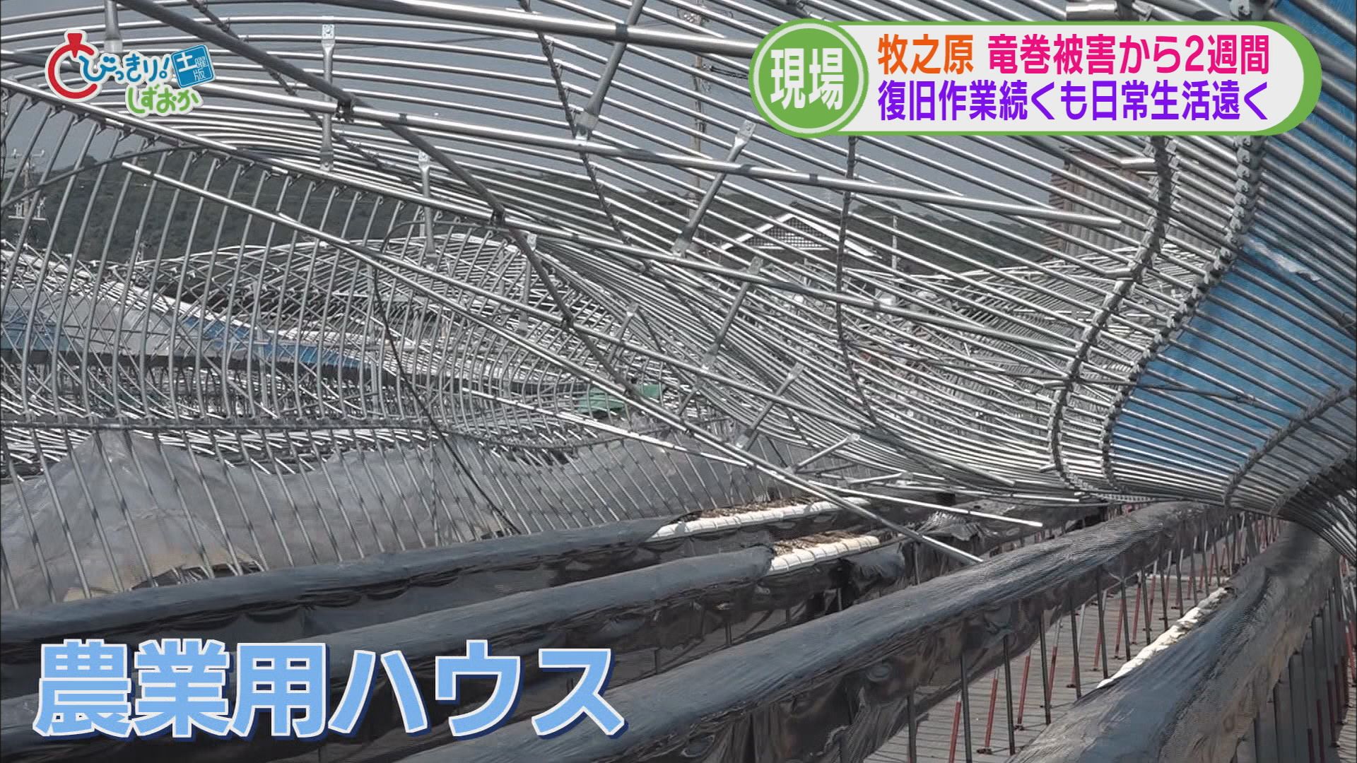 竜巻被害から2週間 被災地には“火事場ドロボー”も 先が見えない復旧作業に被災者はくたくた 静岡・牧之原市