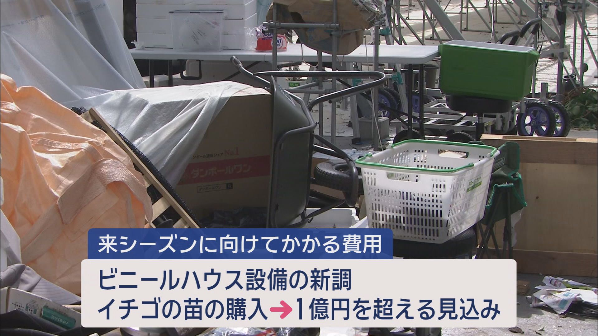 「もう諦めるしかない」…ビニールハウスの鉄骨の柱がぐにゃり　台風15号で農業に大きな被害　静岡・吉田町