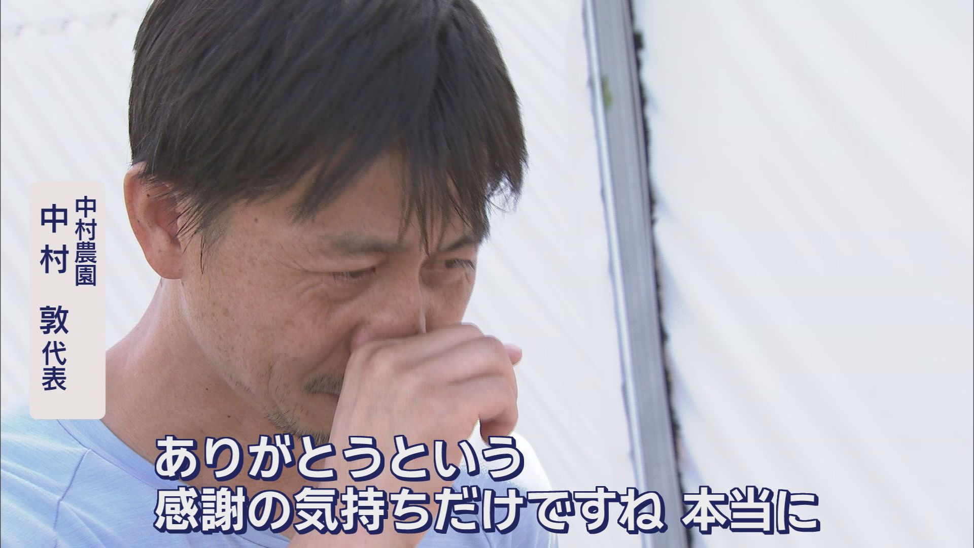 「もう諦めるしかない」…ビニールハウスの鉄骨の柱がぐにゃり　台風15号で農業に大きな被害　静岡・吉田町