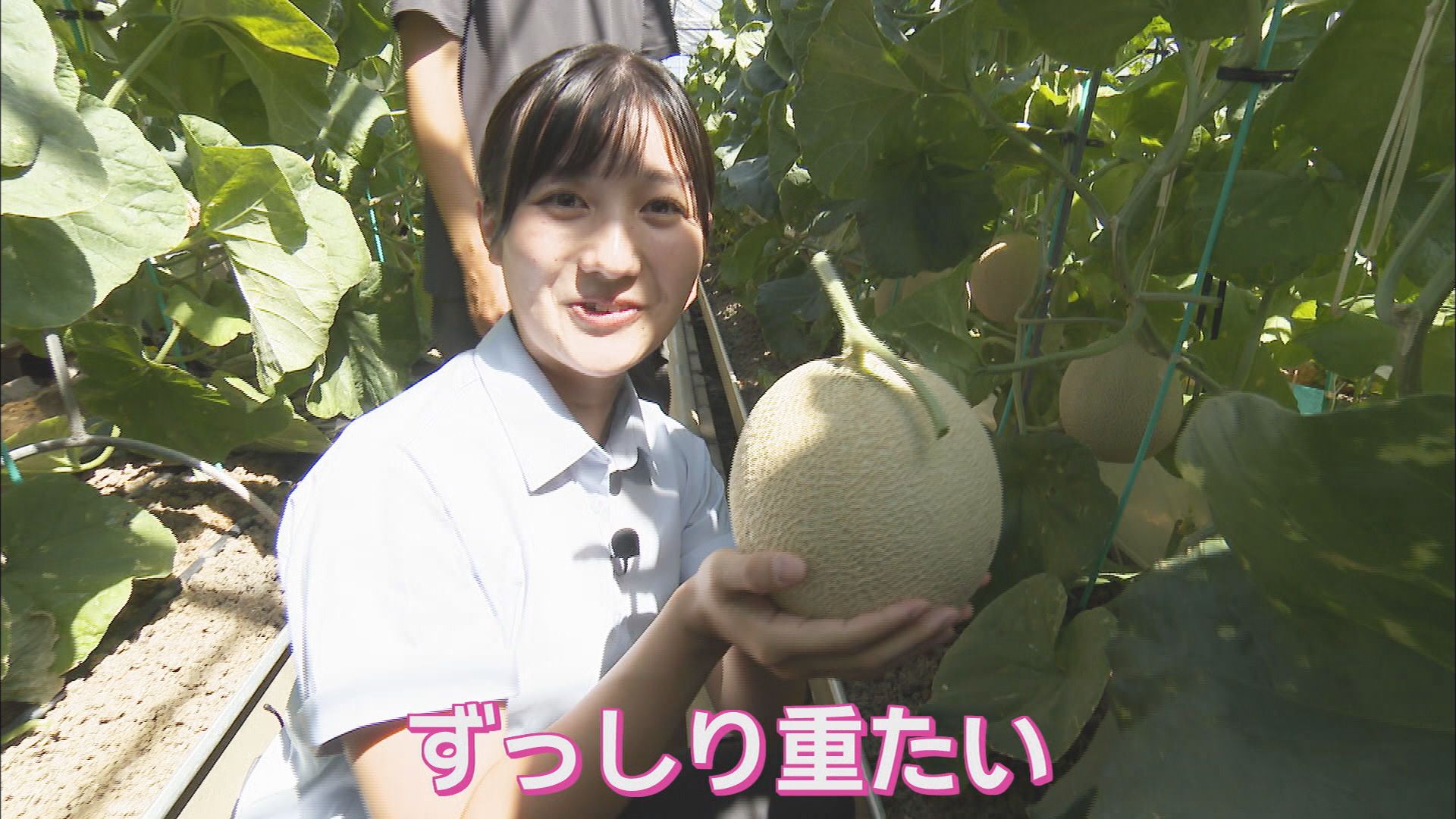 ポイント付与は9月いっぱい…“駆け込みふるさと納税”増加、お得なキャンペーンも　