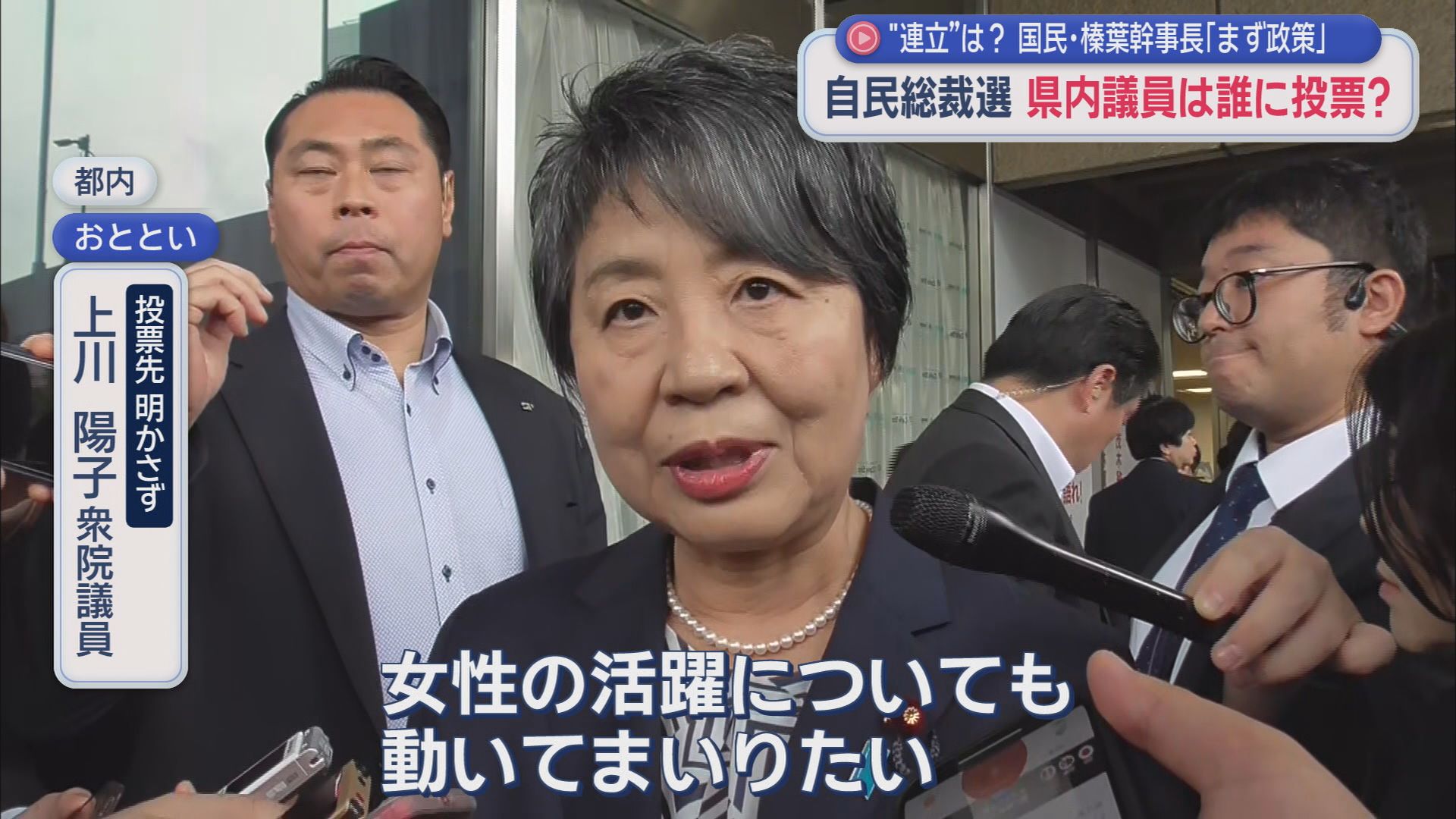 上川陽子衆院議員