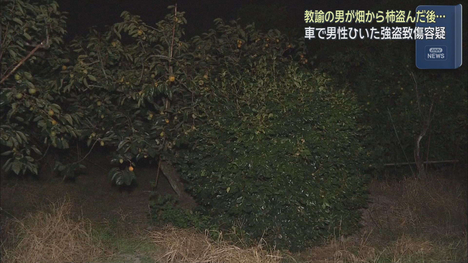 特別支援学校教諭が強盗致傷の疑いで逮捕　静岡・三島市の畑で柿を盗み呼び止めようとした男性を車でひいてけがをさせる　