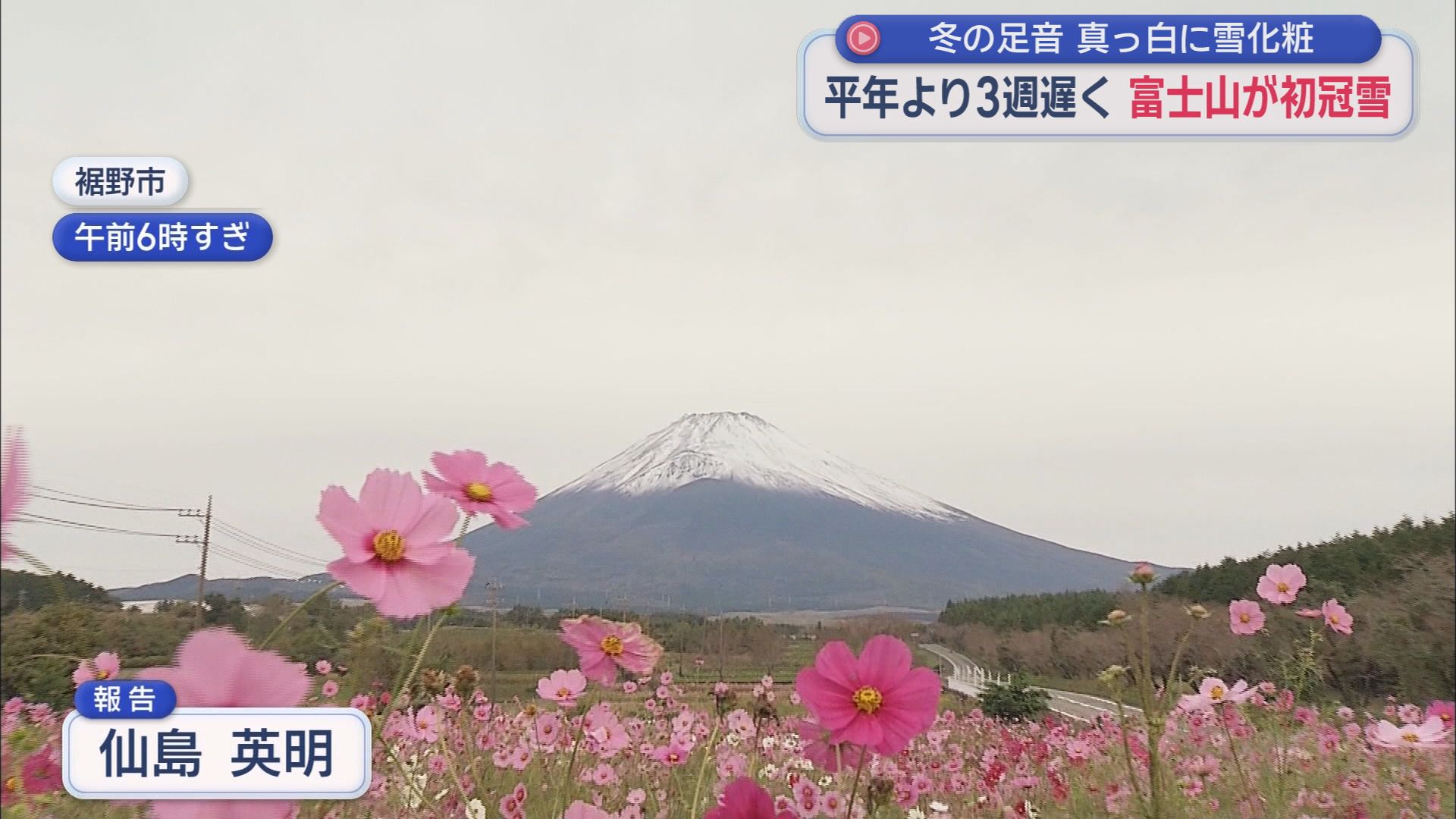 裾野市