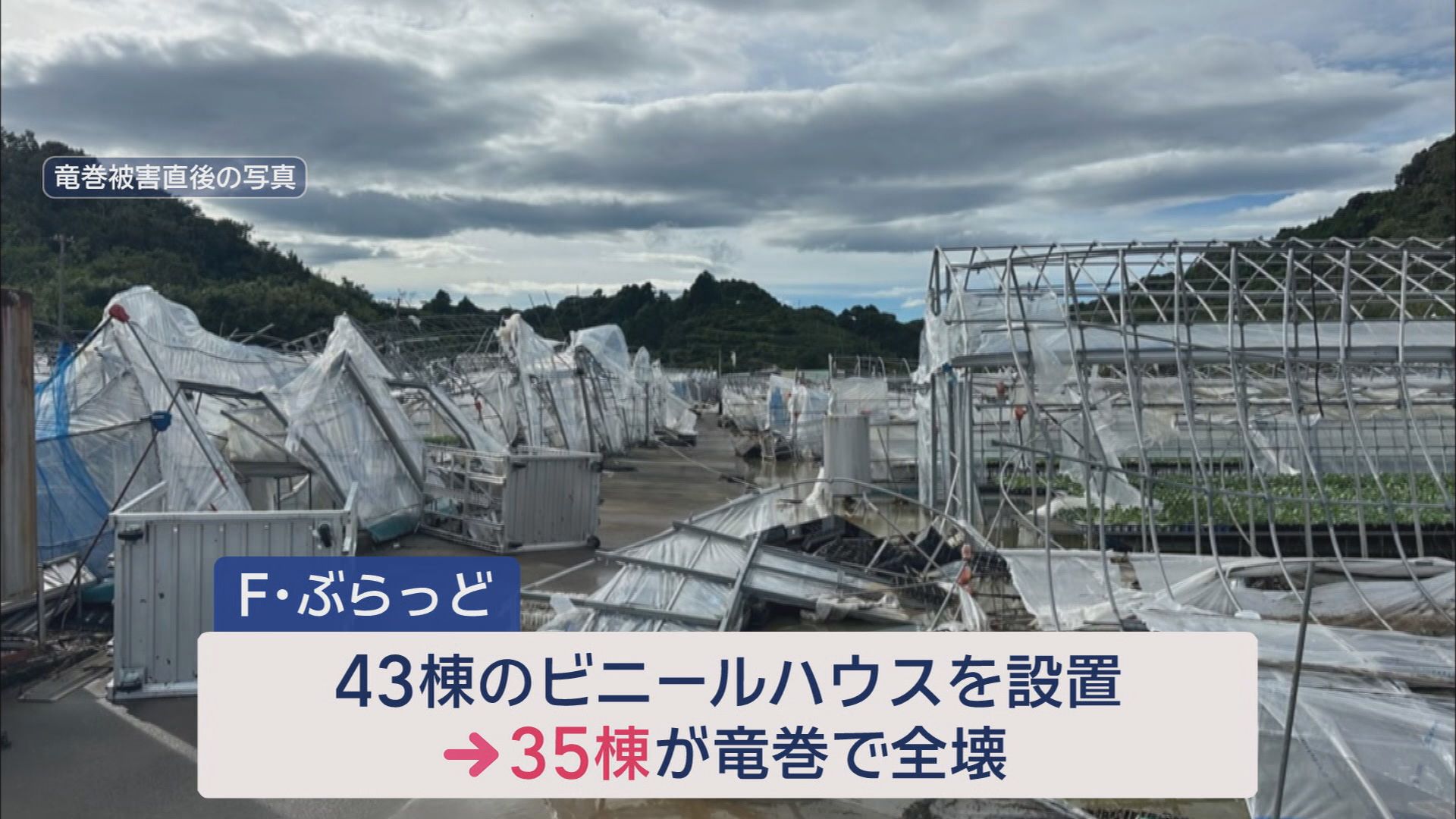 “国内最大級”竜巻から1カ月　ハウス8棟被害のイチゴ農家「売り上げ80%減　ハウス修繕に3000万円」　静岡・牧之原市
